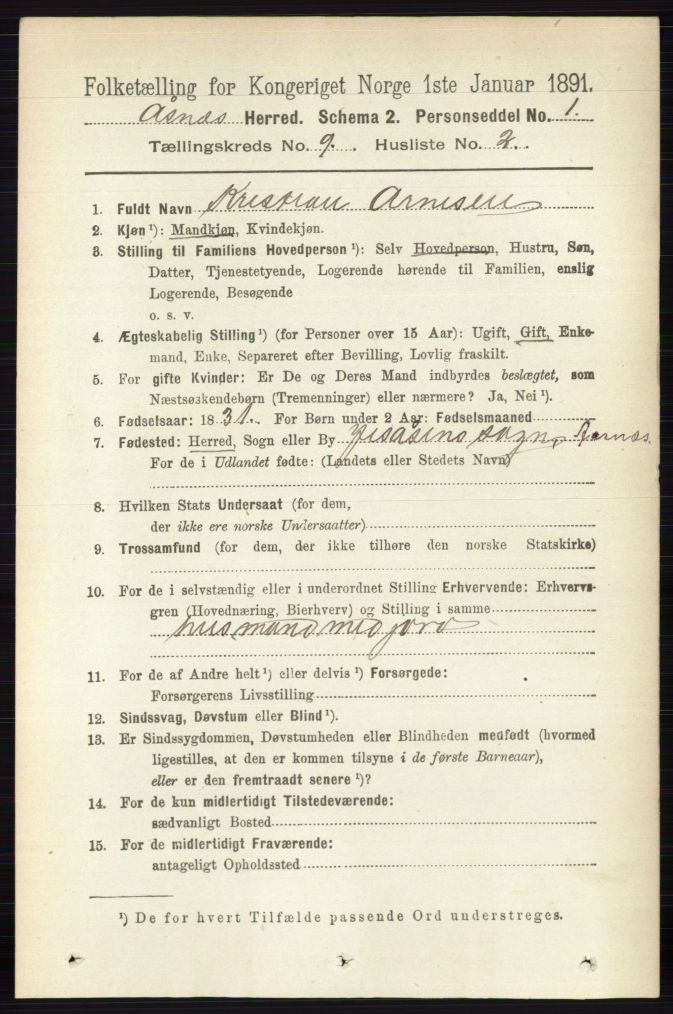 RA, 1891 census for 0425 Åsnes, 1891, p. 4620