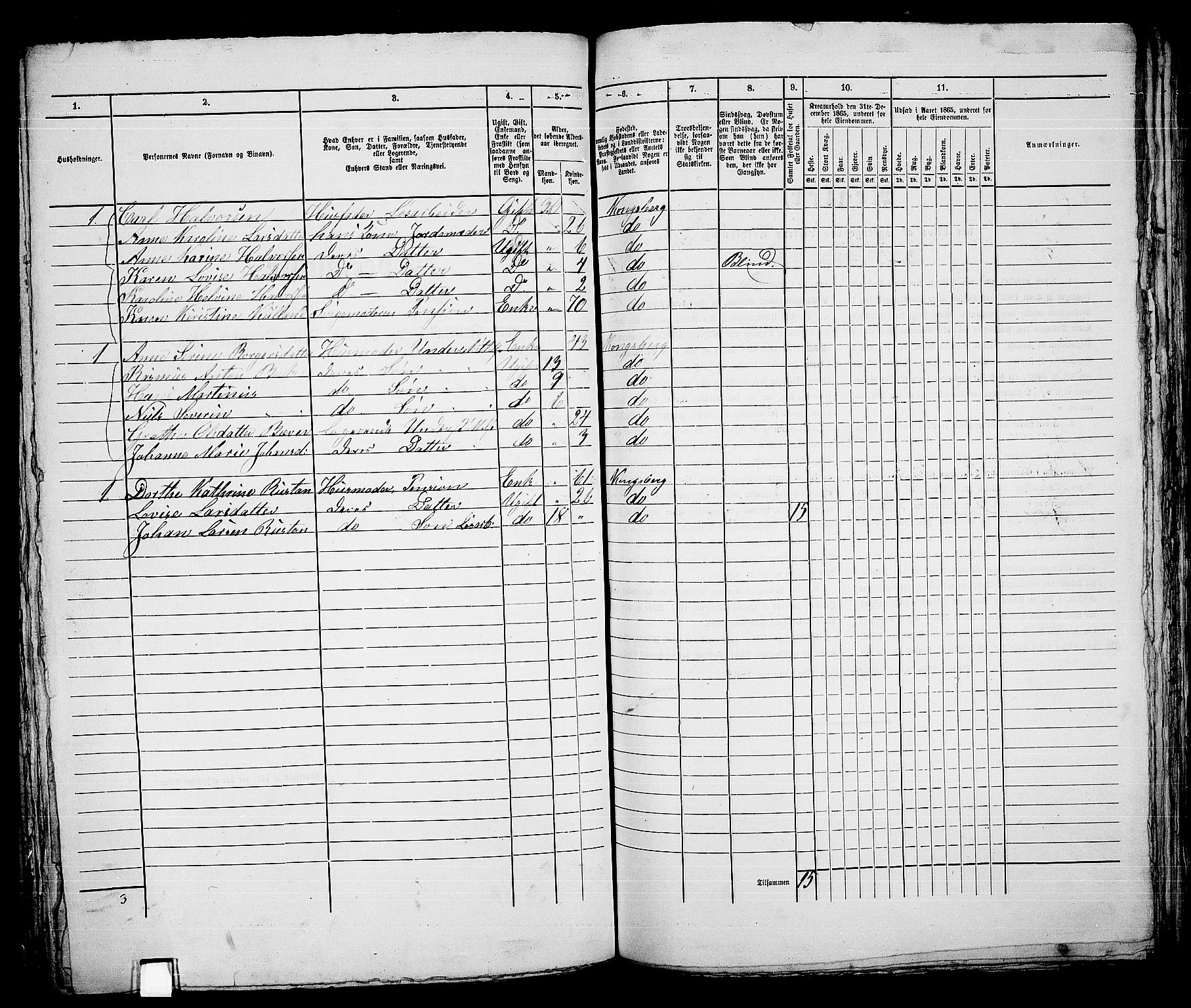 RA, 1865 census for Kongsberg/Kongsberg, 1865, p. 339