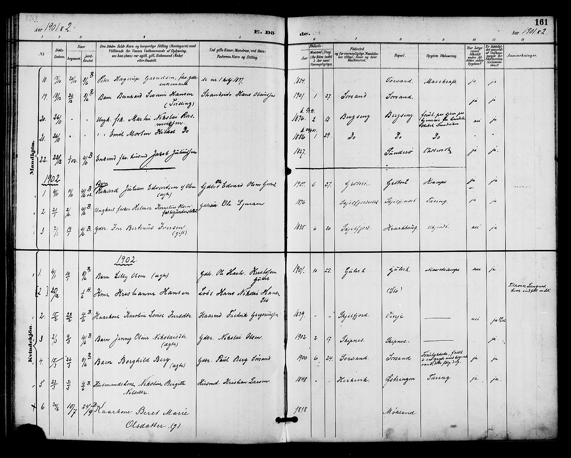 Ministerialprotokoller, klokkerbøker og fødselsregistre - Nordland, AV/SAT-A-1459/893/L1338: Parish register (official) no. 893A10, 1894-1903, p. 161