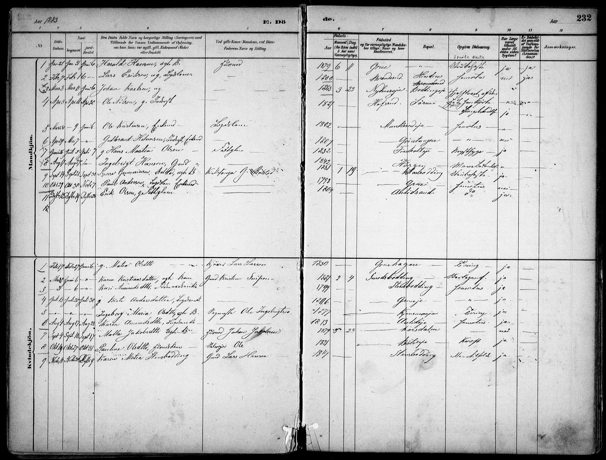 Nes prestekontor Kirkebøker, AV/SAO-A-10410/F/Fc/L0002: Parish register (official) no. IIi 2, 1882-1916, p. 232