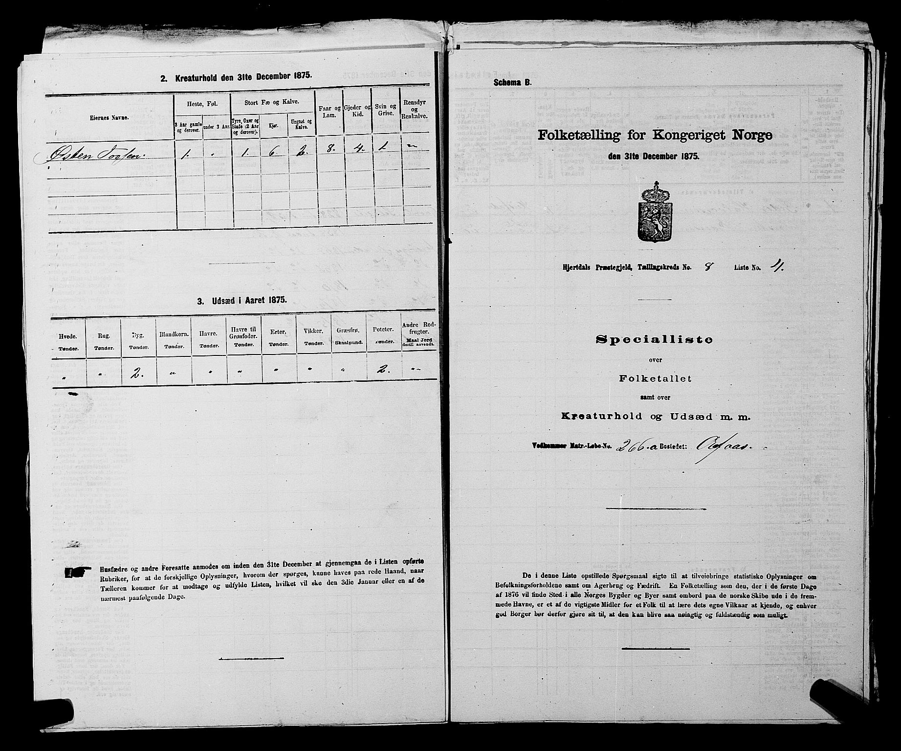 SAKO, 1875 census for 0827P Hjartdal, 1875, p. 1068