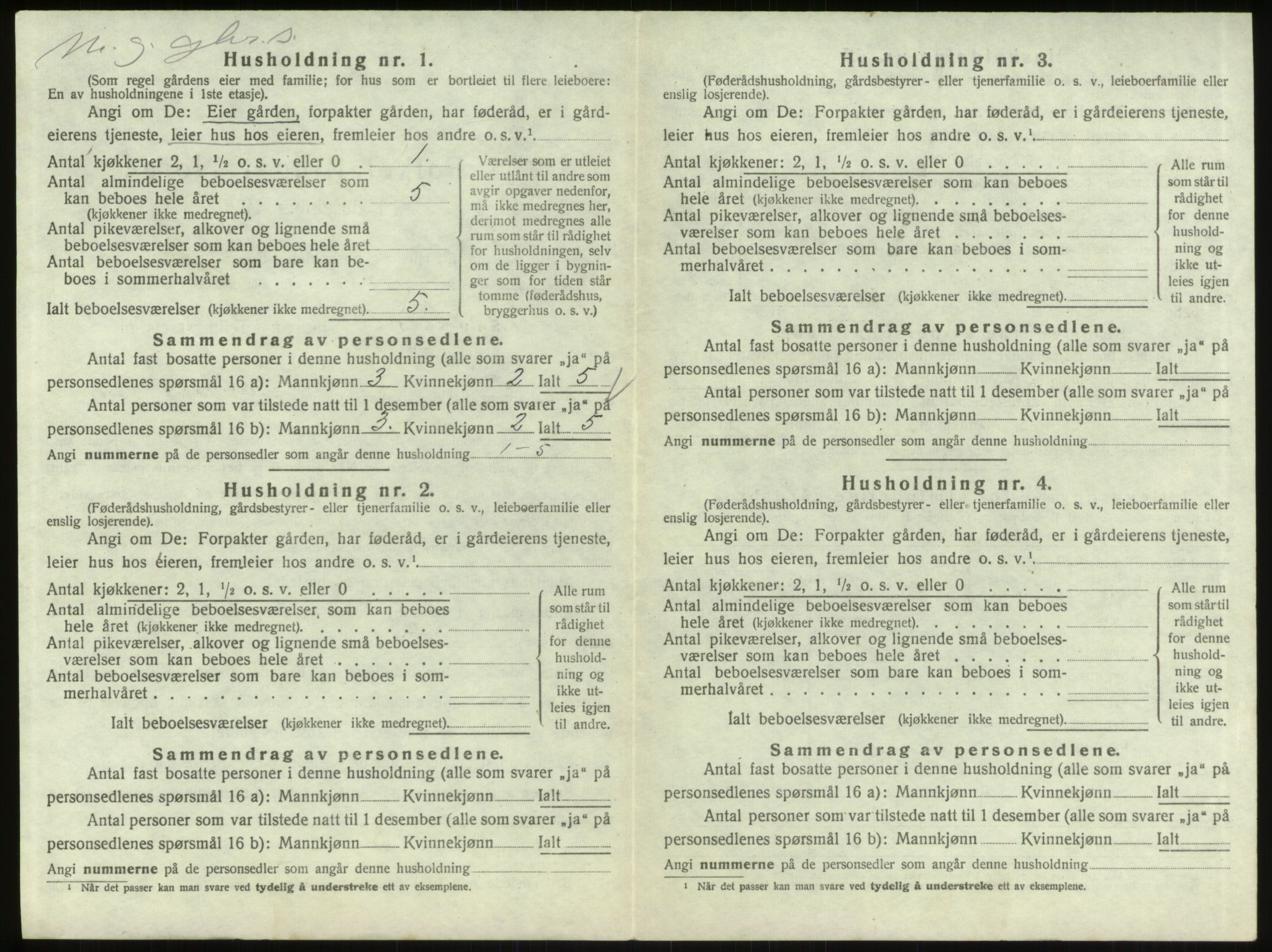 SAO, 1920 census for Skjeberg, 1920, p. 295