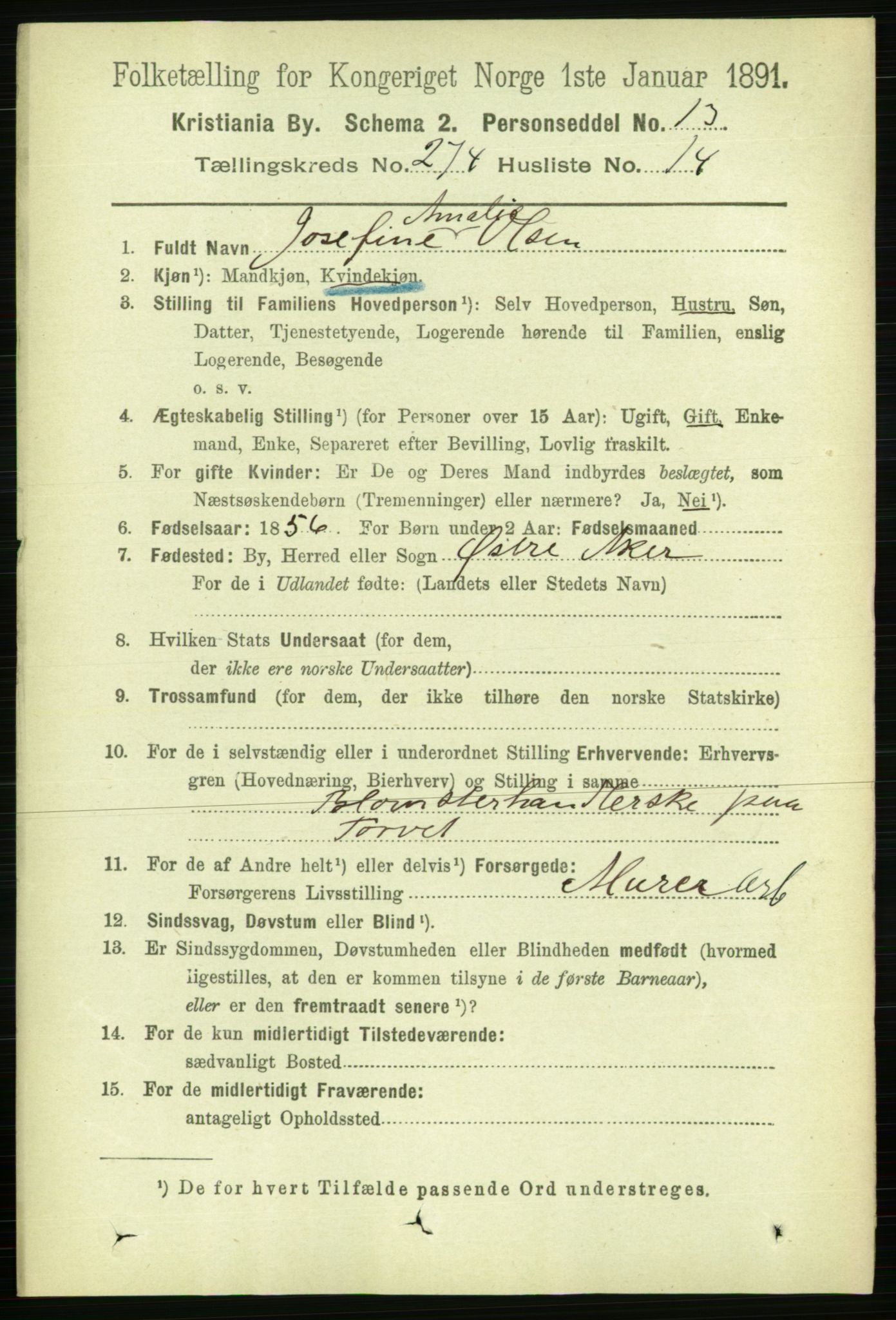 RA, 1891 census for 0301 Kristiania, 1891, p. 166625