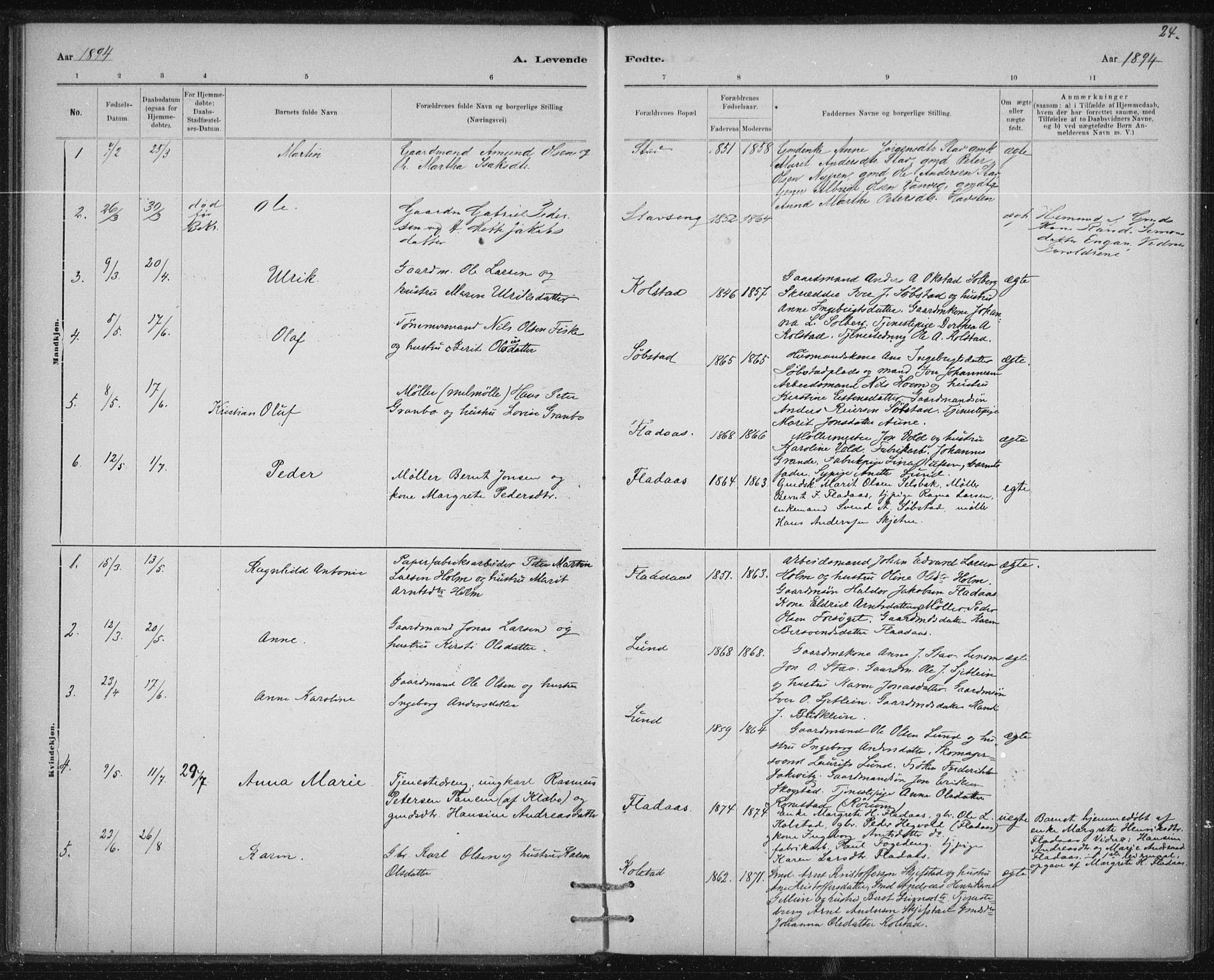 Ministerialprotokoller, klokkerbøker og fødselsregistre - Sør-Trøndelag, AV/SAT-A-1456/613/L0392: Parish register (official) no. 613A01, 1887-1906, p. 24