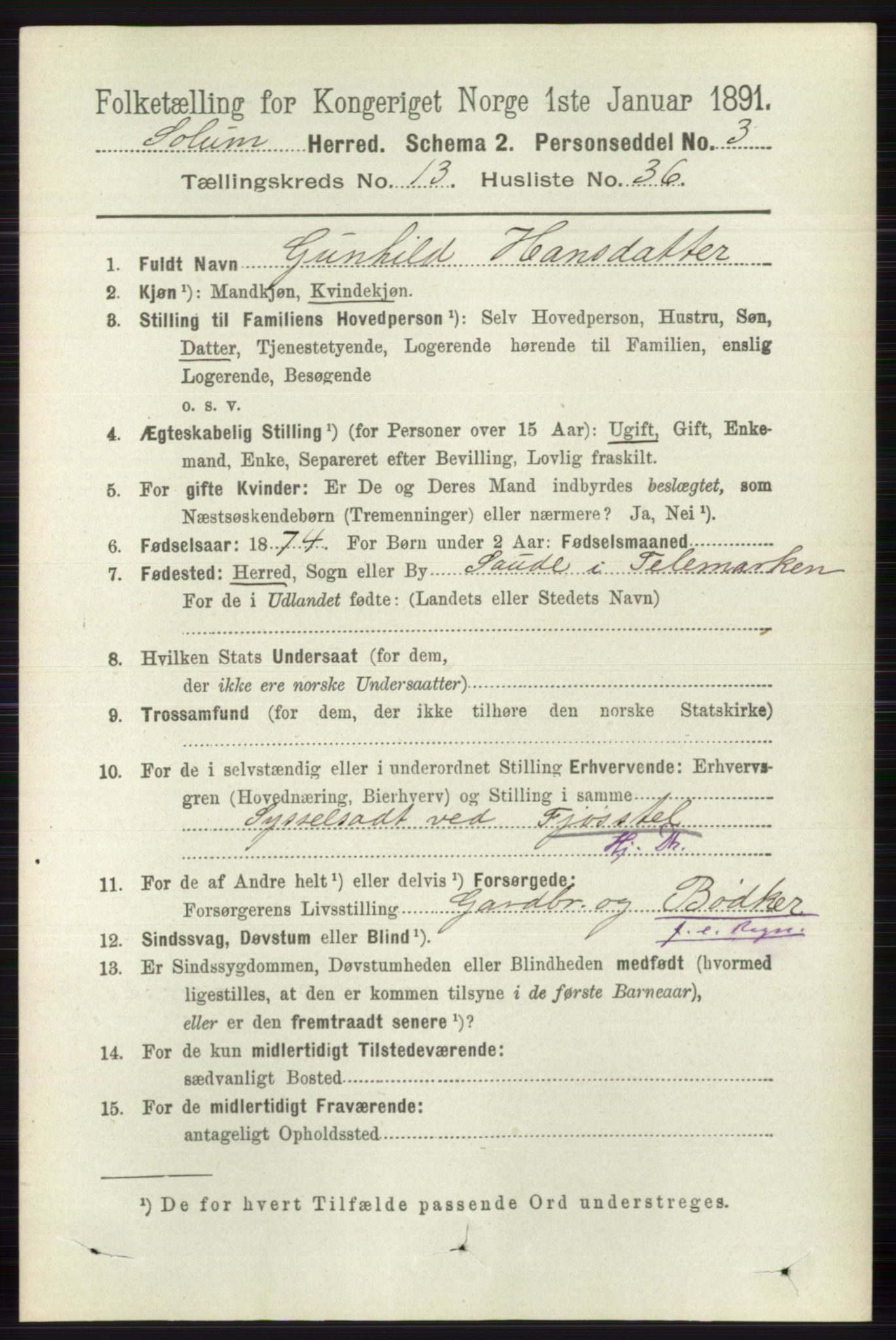 RA, 1891 census for 0818 Solum, 1891, p. 6238