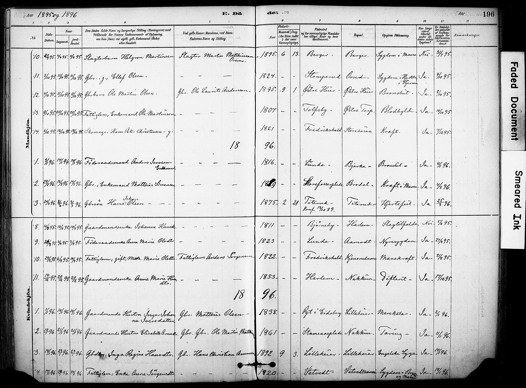 Rakkestad prestekontor Kirkebøker, AV/SAO-A-2008/F/Fb/L0001: Parish register (official) no. II 1, 1878-1899, p. 196