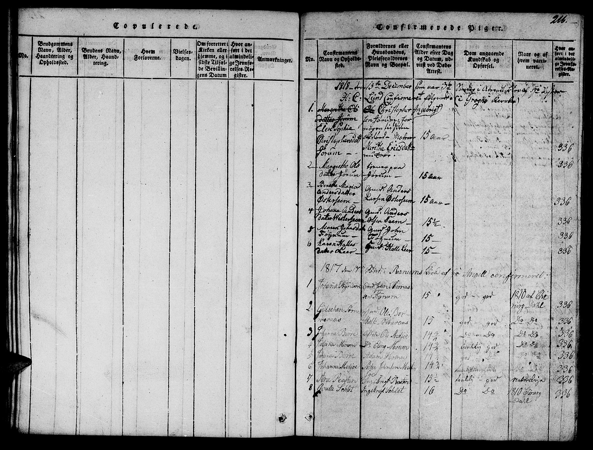 Ministerialprotokoller, klokkerbøker og fødselsregistre - Nord-Trøndelag, AV/SAT-A-1458/758/L0521: Parish register (copy) no. 758C01, 1816-1825, p. 216