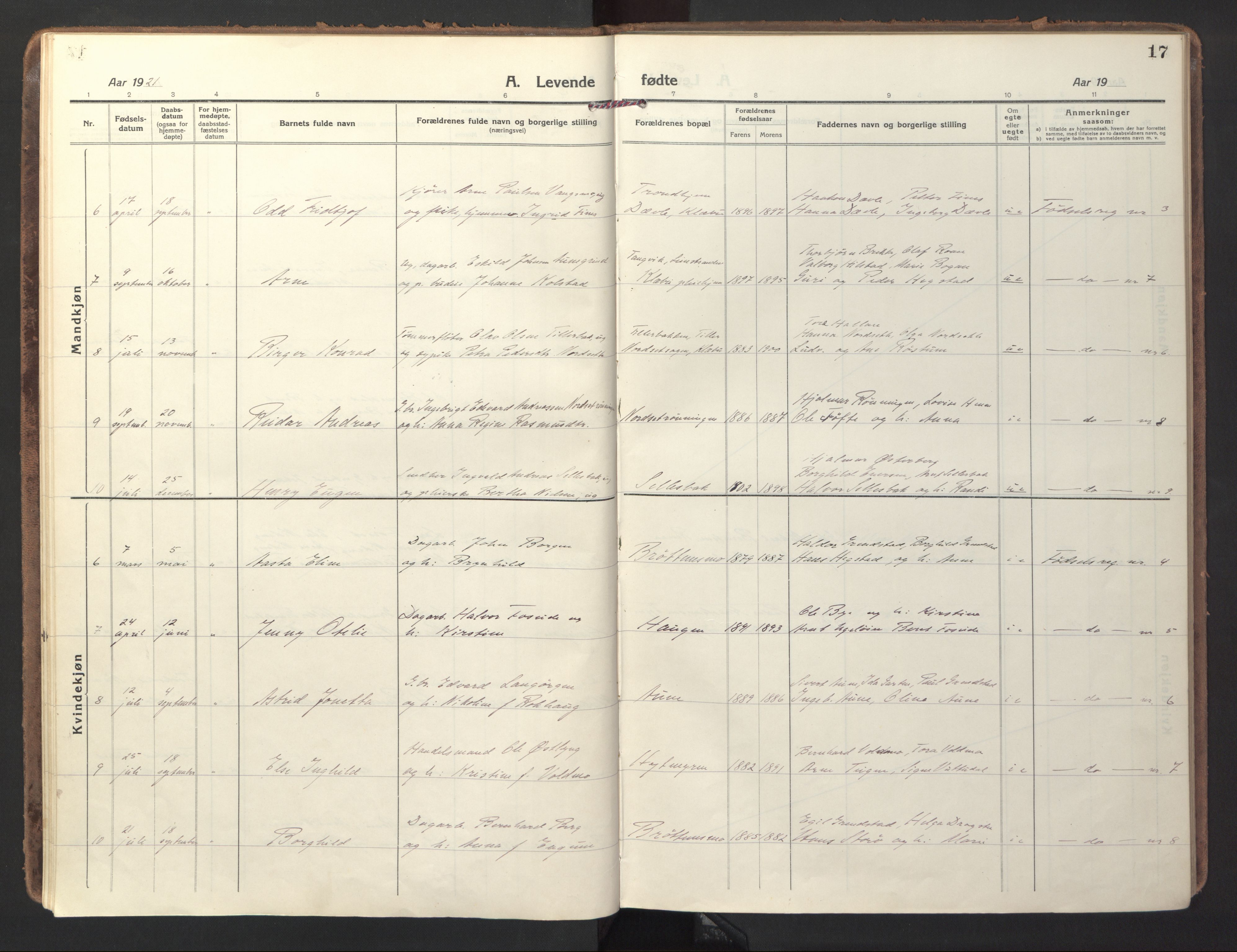 Ministerialprotokoller, klokkerbøker og fødselsregistre - Sør-Trøndelag, SAT/A-1456/618/L0449: Parish register (official) no. 618A12, 1917-1924, p. 17