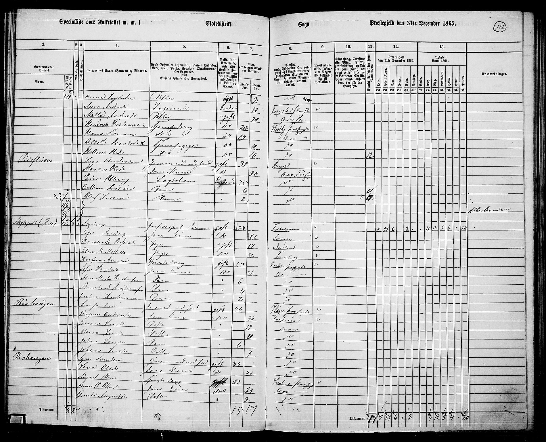 RA, 1865 census for Ås, 1865, p. 100