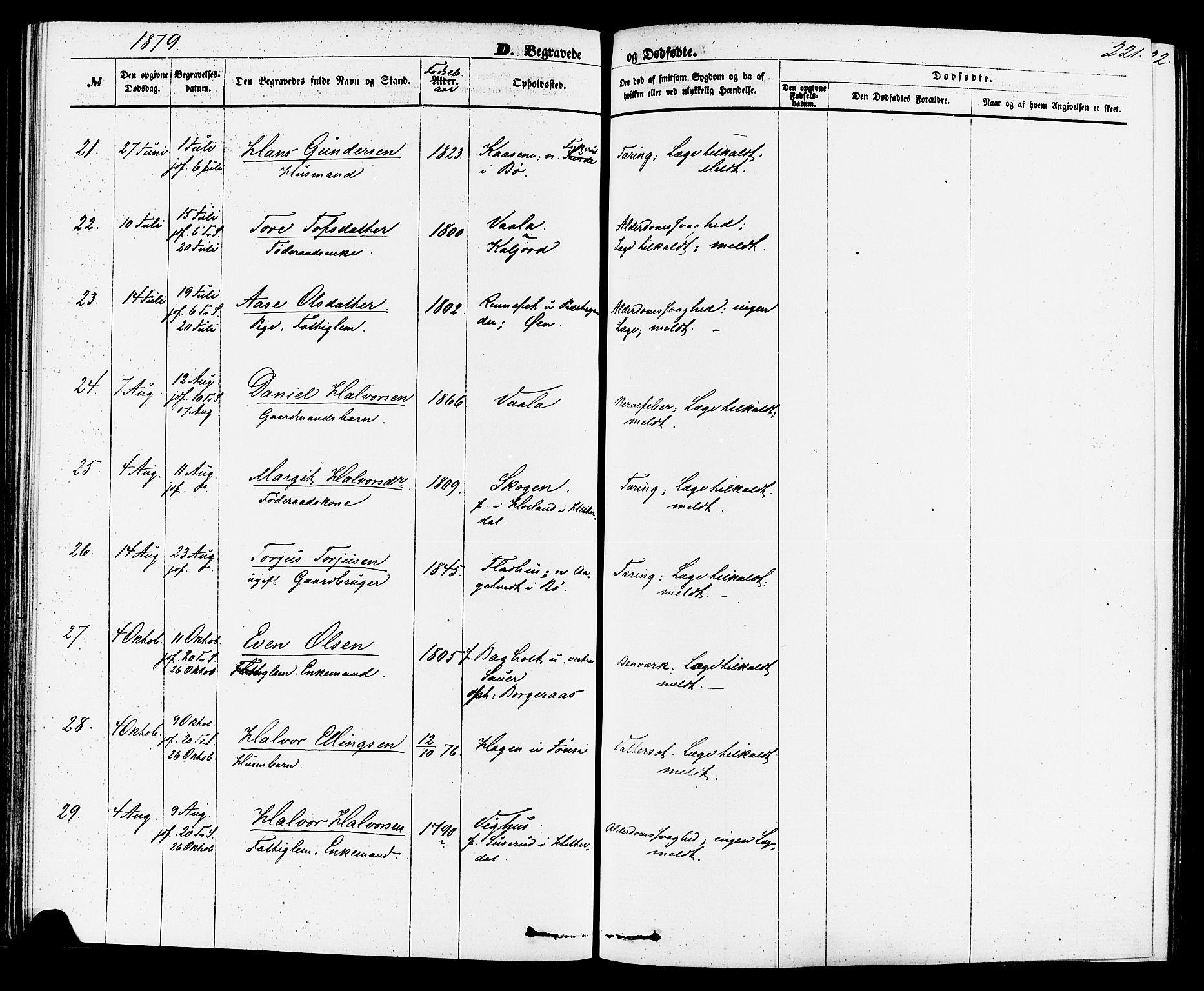 Sauherad kirkebøker, AV/SAKO-A-298/F/Fa/L0008: Parish register (official) no. I 8, 1873-1886, p. 221