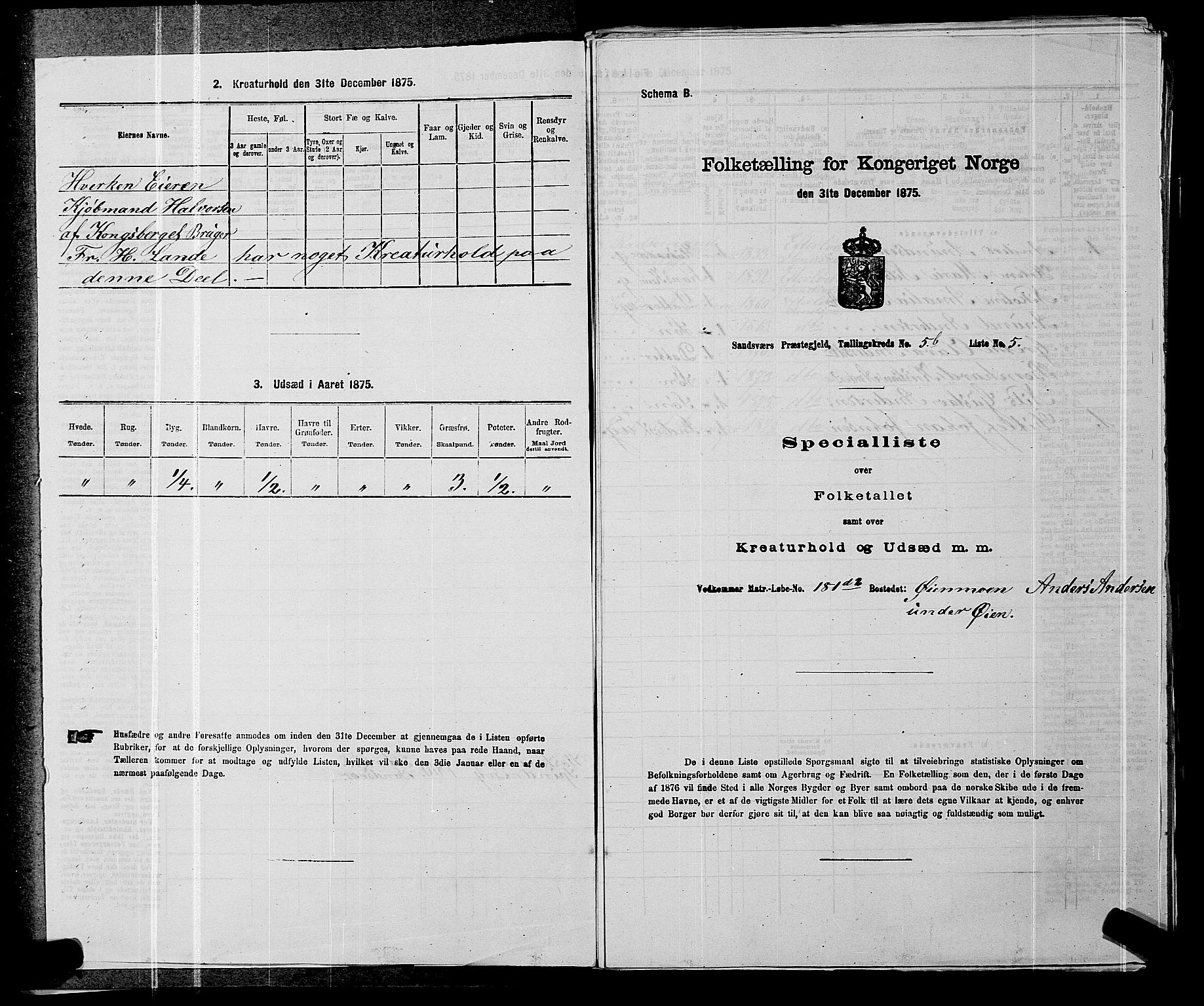 SAKO, 1875 census for 0629P Sandsvær, 1875, p. 918