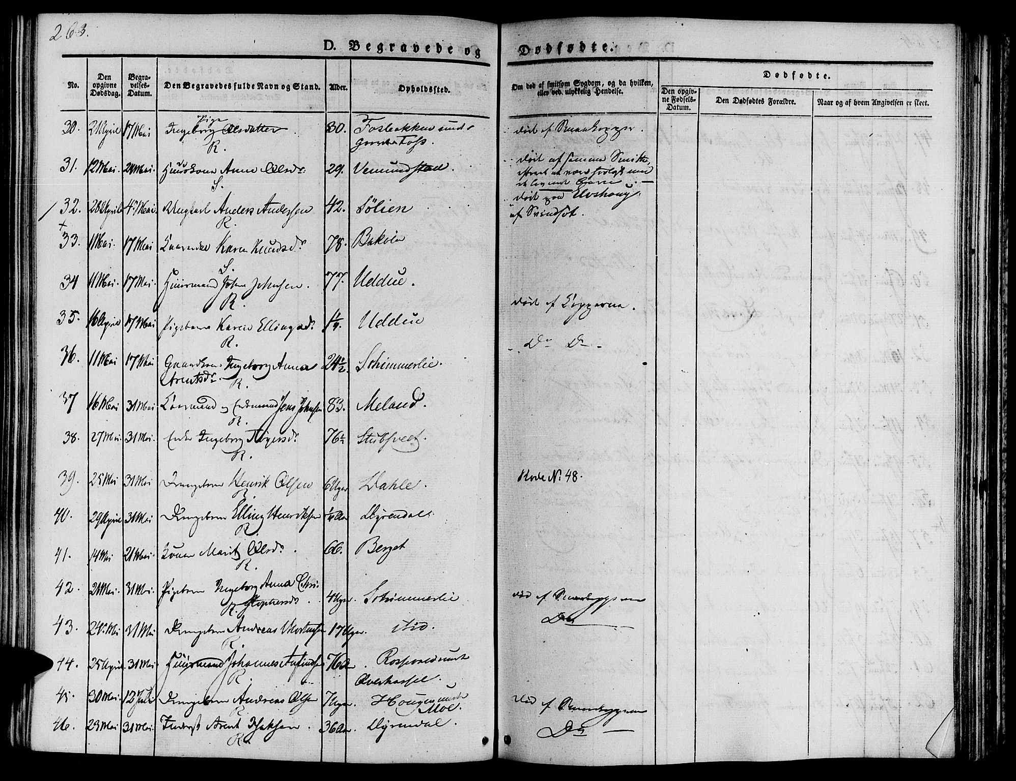 Ministerialprotokoller, klokkerbøker og fødselsregistre - Sør-Trøndelag, AV/SAT-A-1456/646/L0610: Parish register (official) no. 646A08, 1837-1847, p. 263