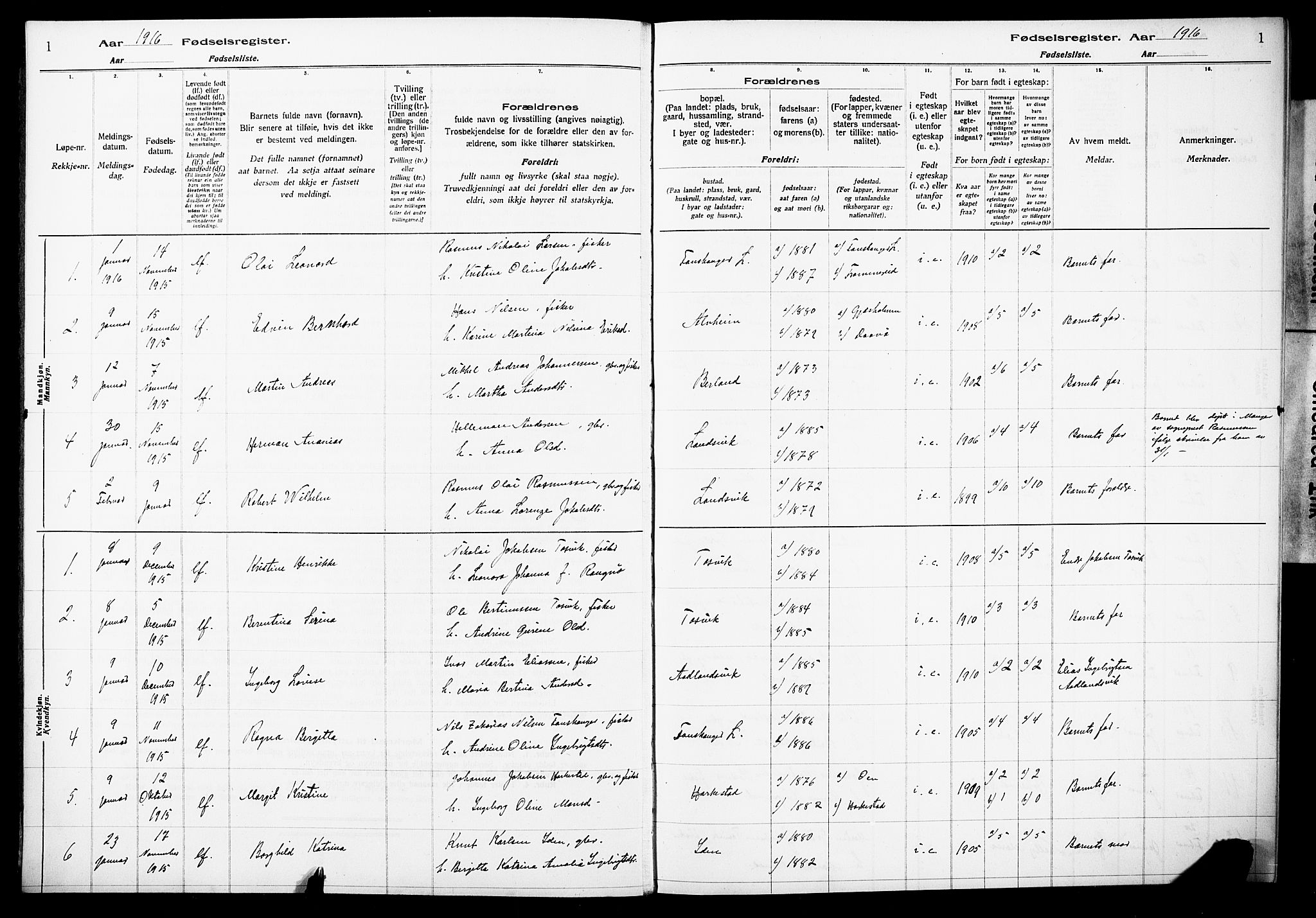 Herdla Sokneprestembete, SAB/A-75701/I/Id/L00A1: Birth register no. A 1, 1916-1929, p. 1
