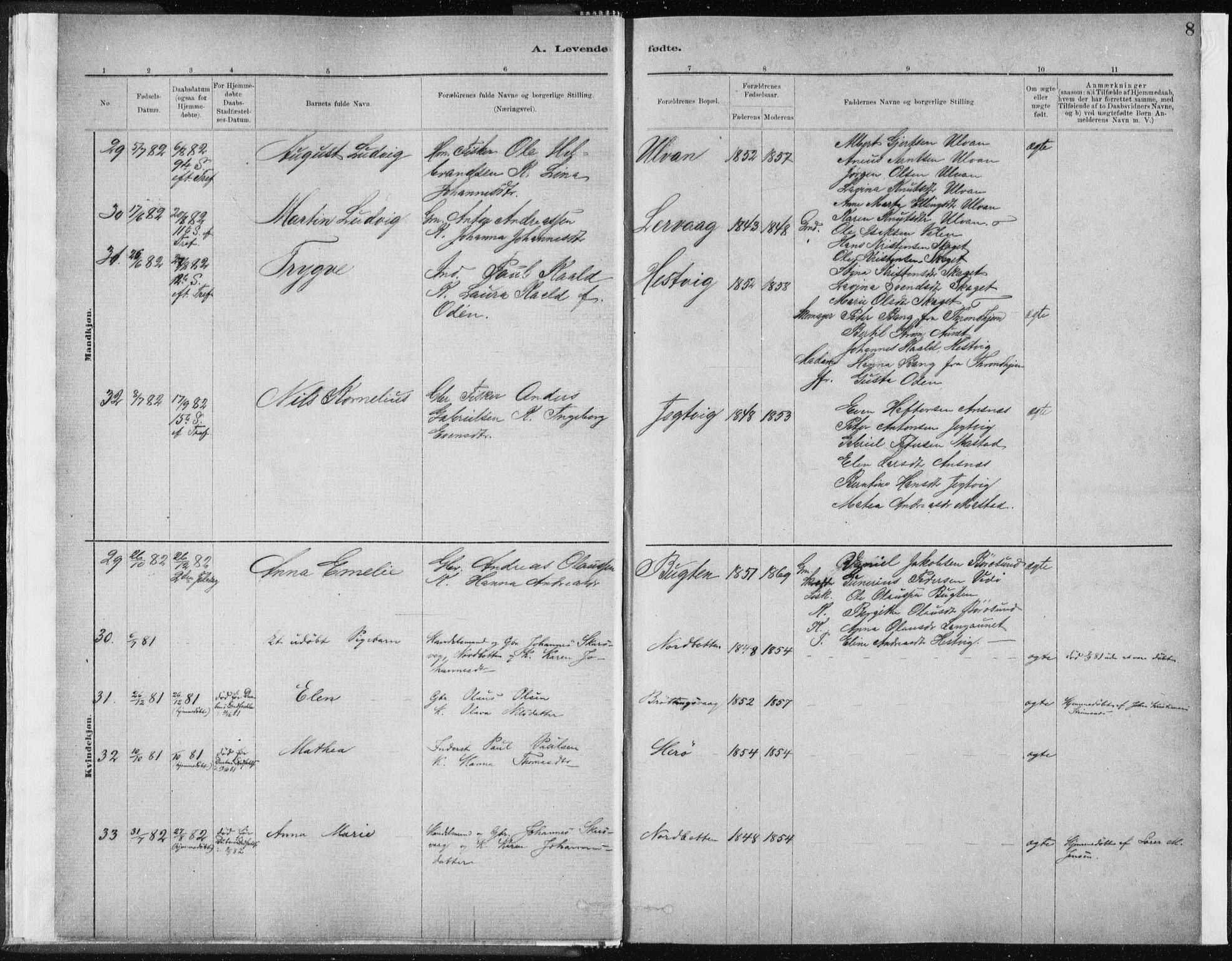 Ministerialprotokoller, klokkerbøker og fødselsregistre - Sør-Trøndelag, AV/SAT-A-1456/637/L0558: Parish register (official) no. 637A01, 1882-1899, p. 8