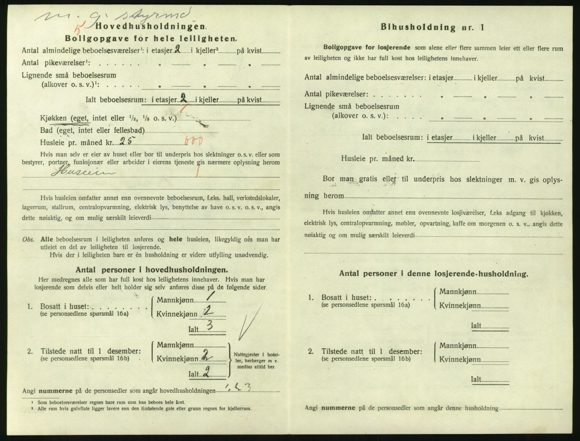 SAKO, 1920 census for Larvik, 1920, p. 4523