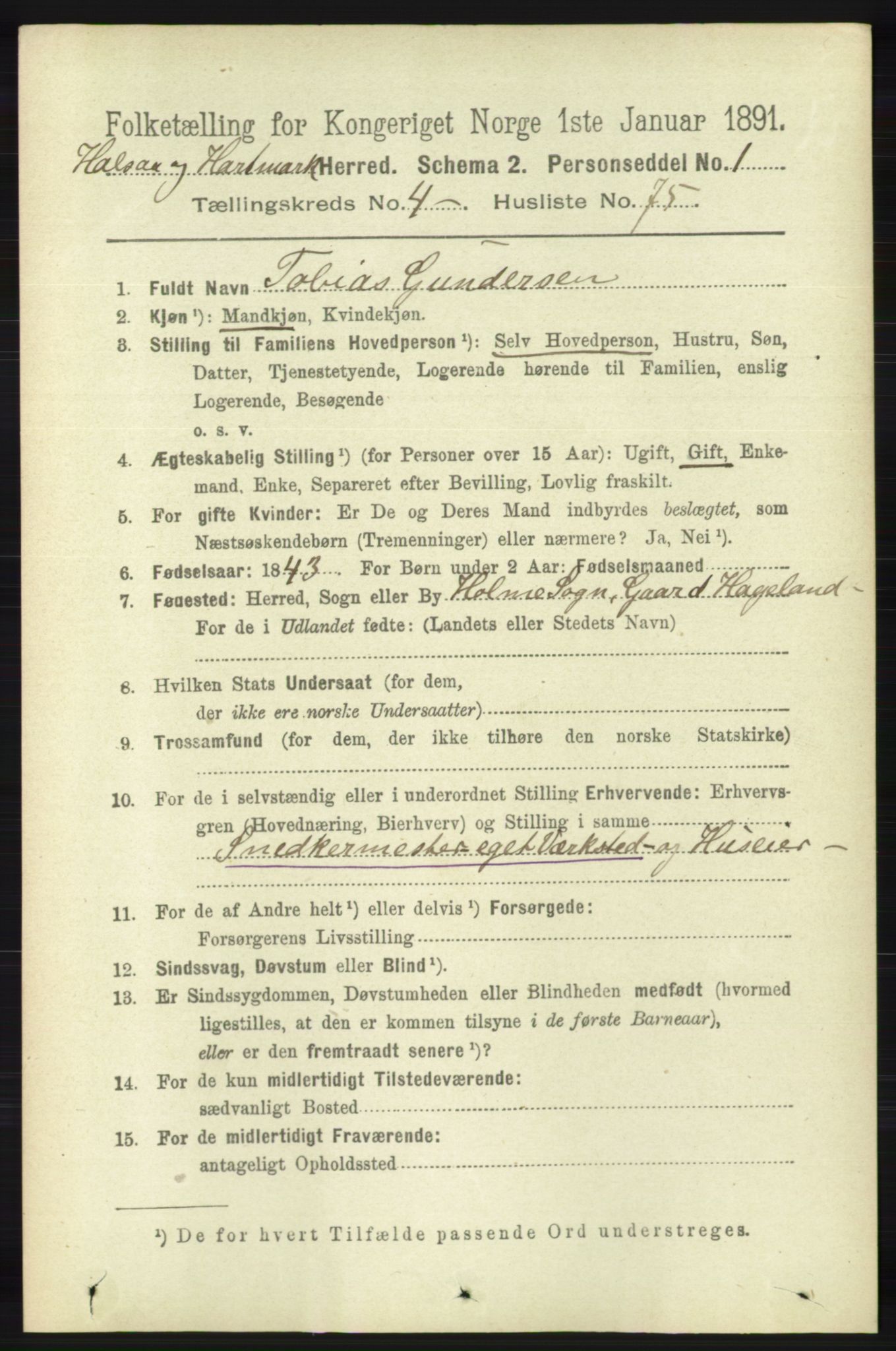 RA, 1891 census for 1019 Halse og Harkmark, 1891, p. 1917