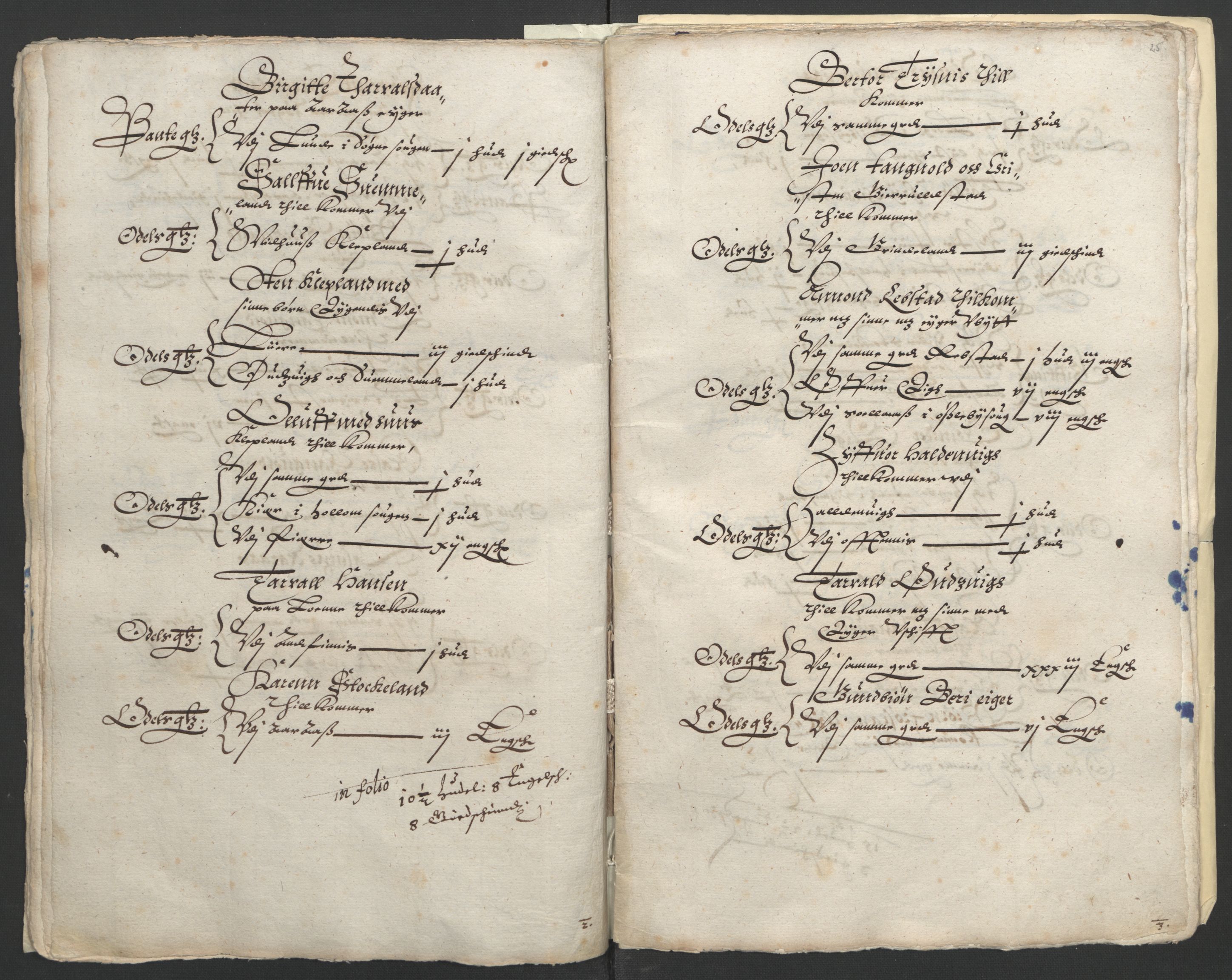 Stattholderembetet 1572-1771, AV/RA-EA-2870/Ek/L0010/0001: Jordebøker til utlikning av rosstjeneste 1624-1626: / Odelsjordebøker for Agdesiden len, 1624, p. 121