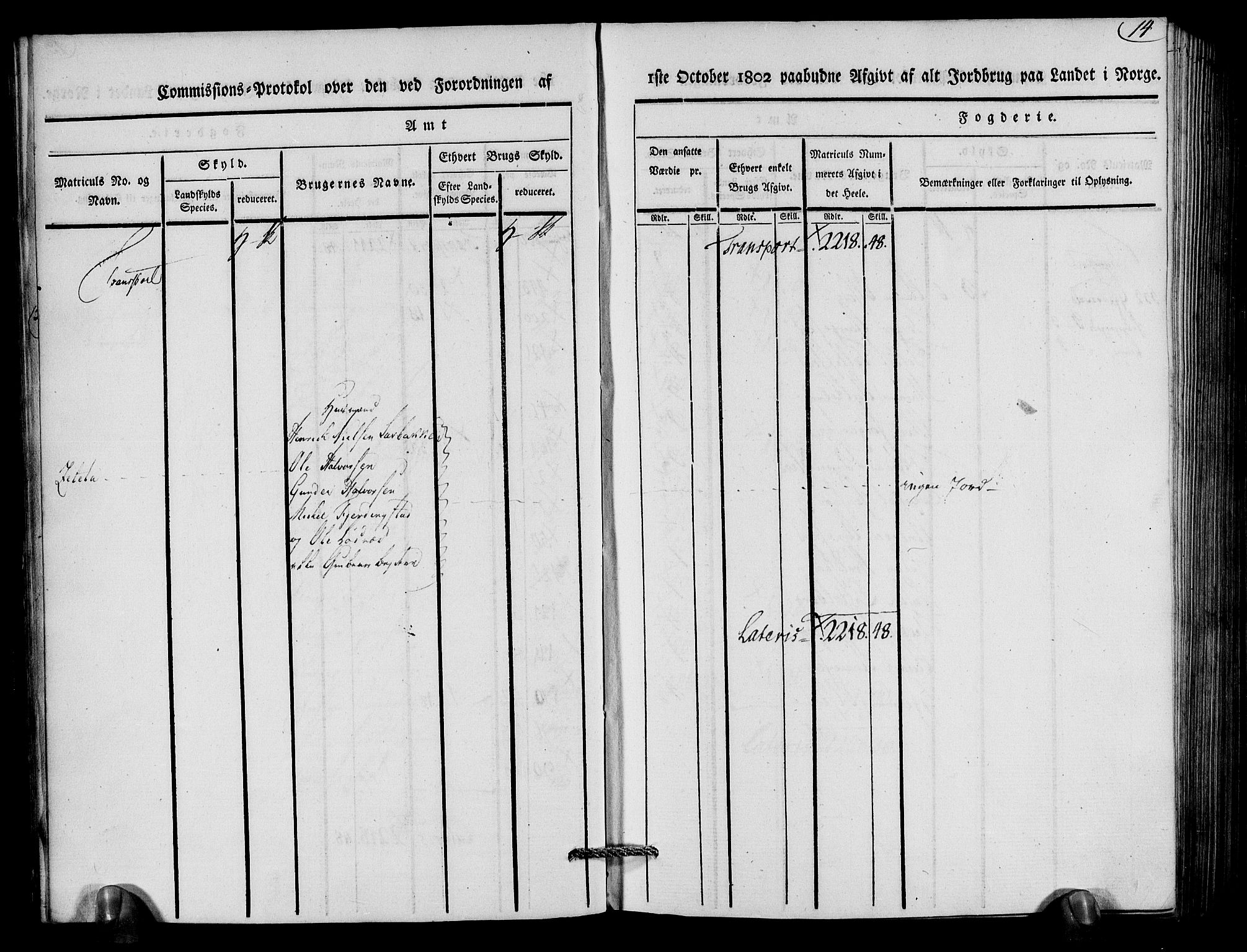 Rentekammeret inntil 1814, Realistisk ordnet avdeling, AV/RA-EA-4070/N/Ne/Nea/L0079: Nedenes fogderi. Kommisjonsprotokoll "Nr. 2", for Strengereid skipreide, 1803, p. 15