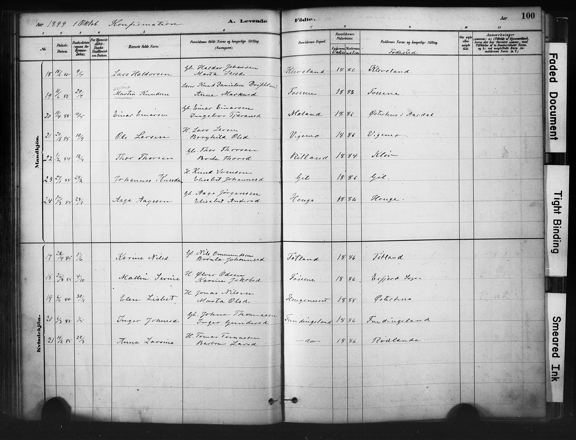 Hjelmeland sokneprestkontor, AV/SAST-A-101843/01/IV/L0014: Parish register (official) no. A 14, 1879-1900, p. 100