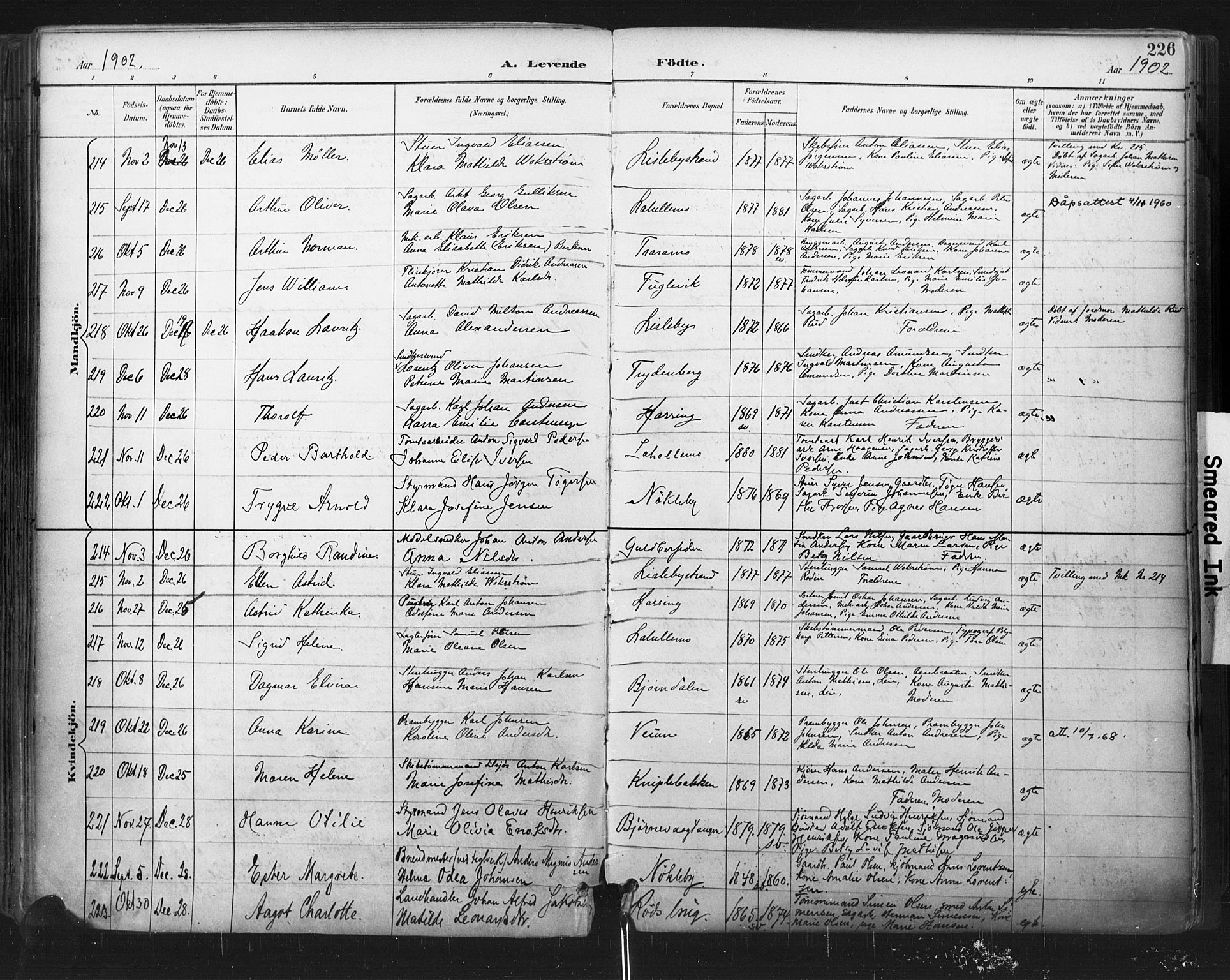 Glemmen prestekontor Kirkebøker, SAO/A-10908/F/Fa/L0013: Parish register (official) no. 13, 1892-1907, p. 226