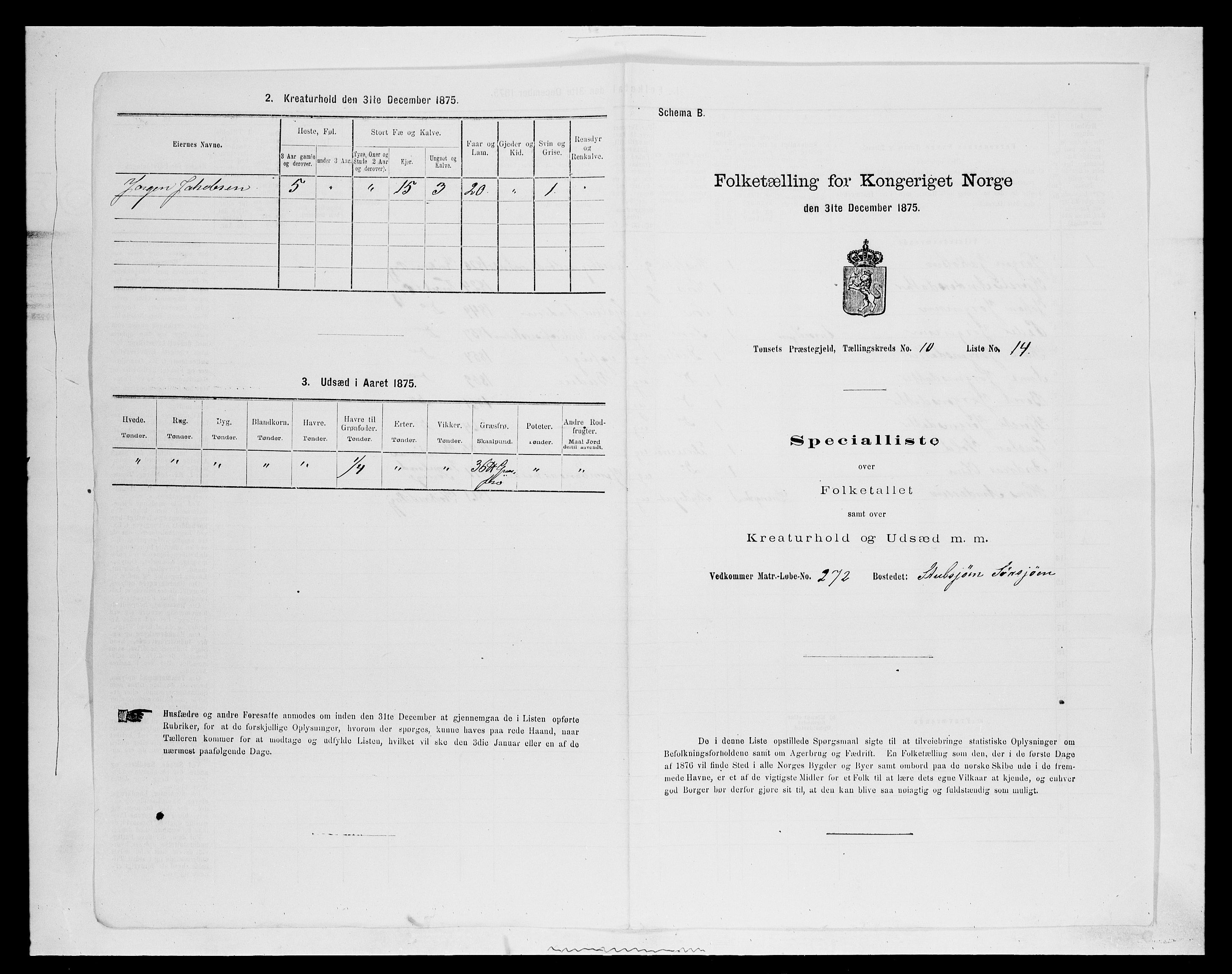 SAH, 1875 census for 0437P Tynset, 1875, p. 990