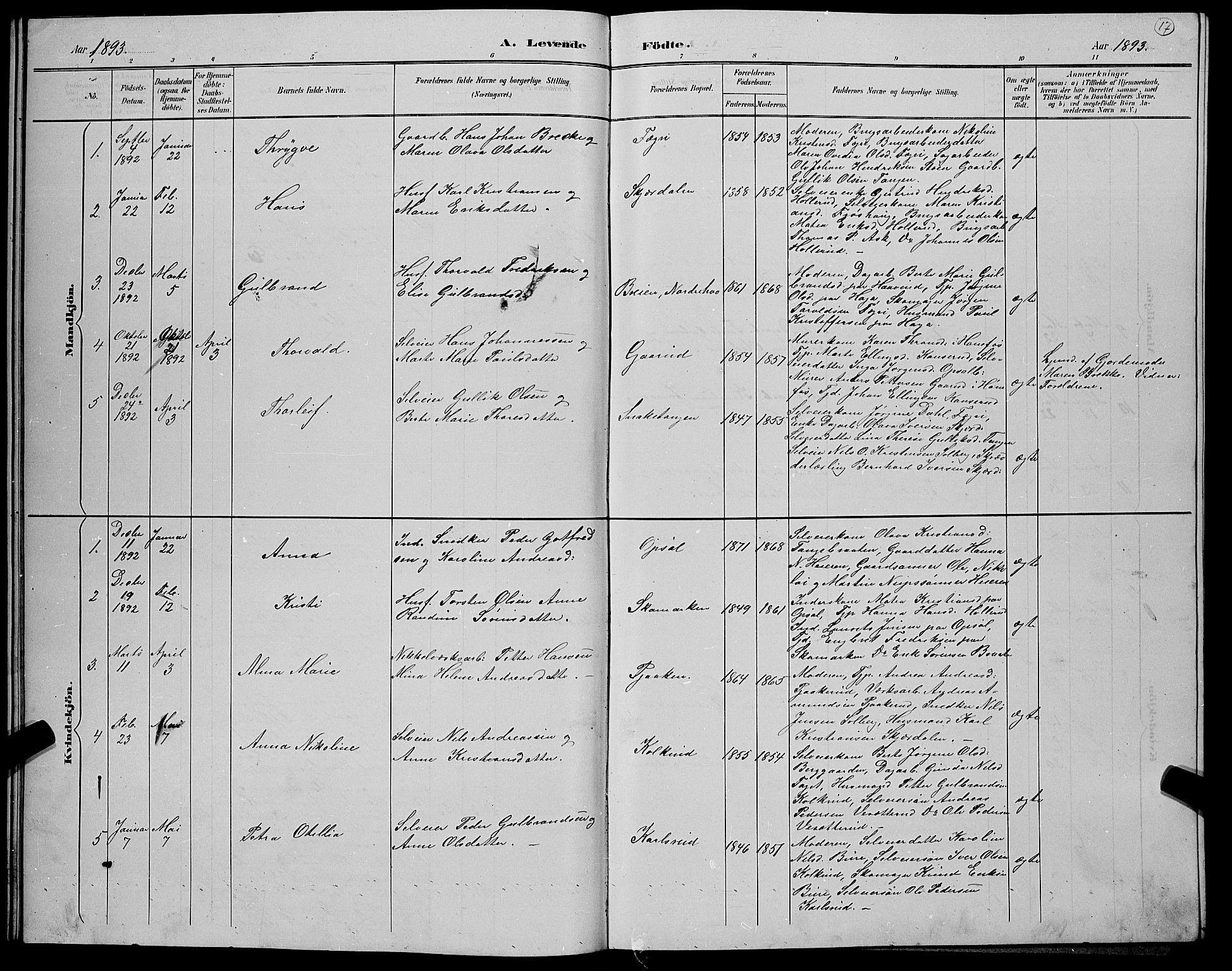 Hole kirkebøker, AV/SAKO-A-228/G/Gb/L0003: Parish register (copy) no. II 3, 1890-1901, p. 17