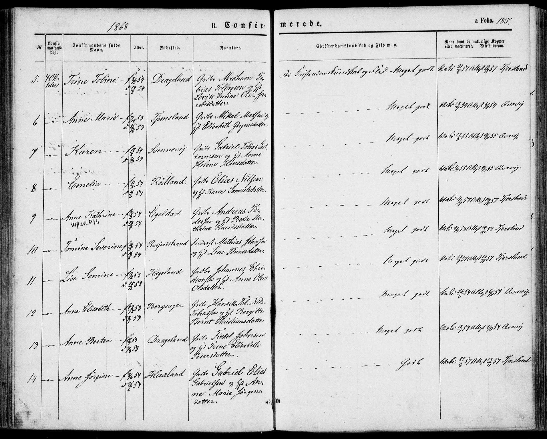 Lyngdal sokneprestkontor, AV/SAK-1111-0029/F/Fa/Fac/L0010: Parish register (official) no. A 10, 1865-1878, p. 185