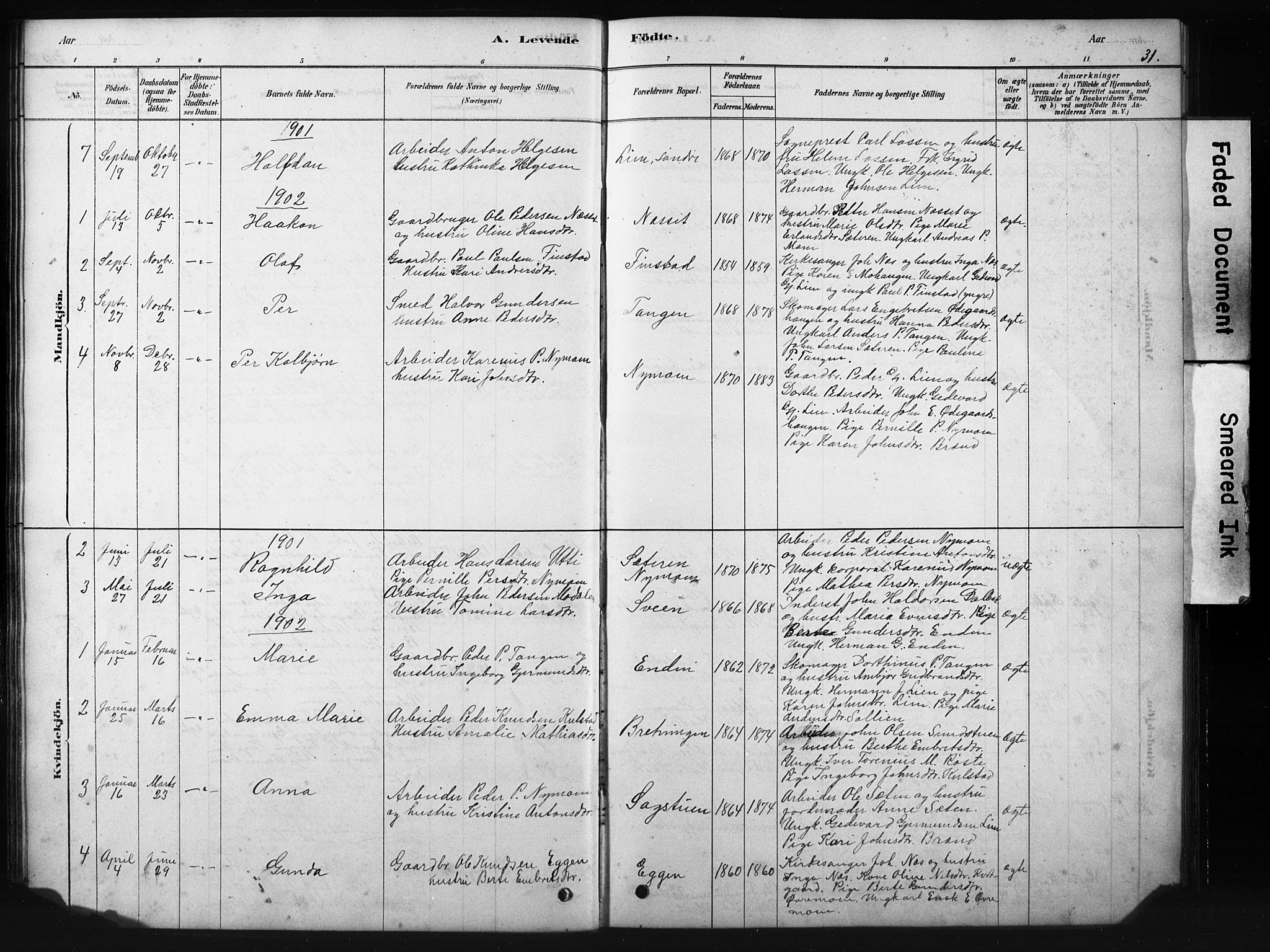 Sollia prestekontor, AV/SAH-PREST-050/H/Ha/Hab/L0002: Parish register (copy) no. 2, 1880-1933, p. 31