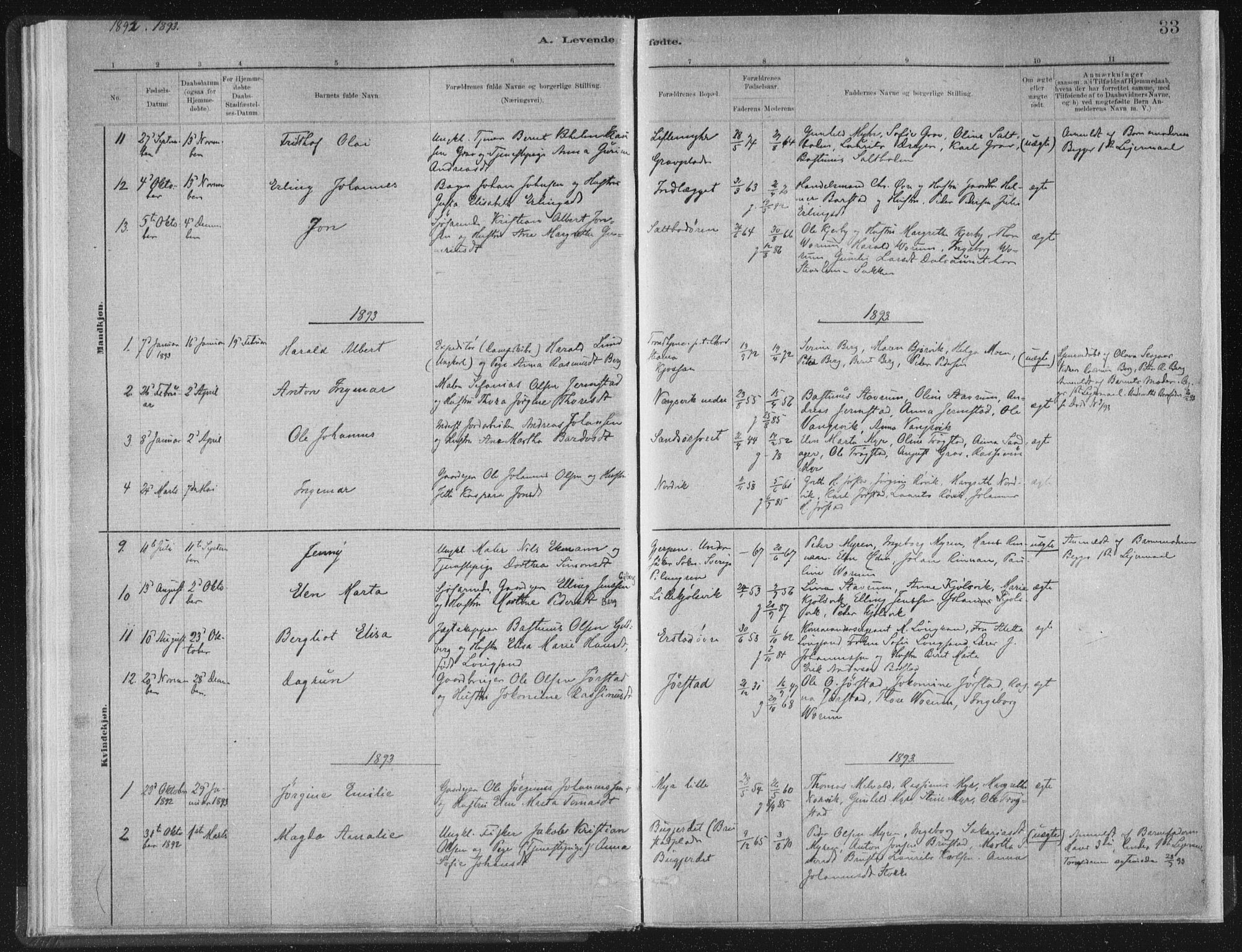 Ministerialprotokoller, klokkerbøker og fødselsregistre - Nord-Trøndelag, SAT/A-1458/722/L0220: Parish register (official) no. 722A07, 1881-1908, p. 33