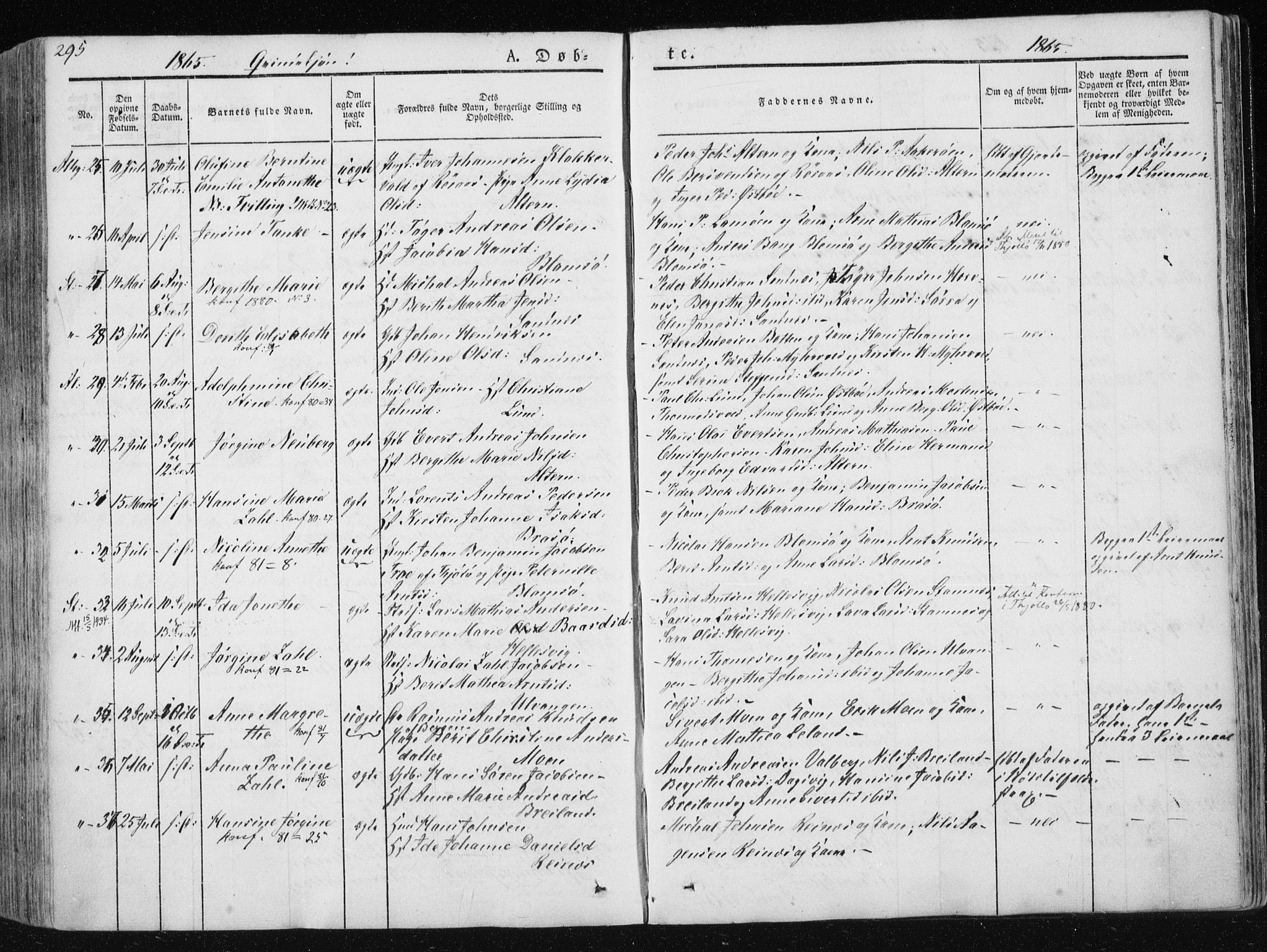 Ministerialprotokoller, klokkerbøker og fødselsregistre - Nordland, AV/SAT-A-1459/830/L0446: Parish register (official) no. 830A10, 1831-1865, p. 295