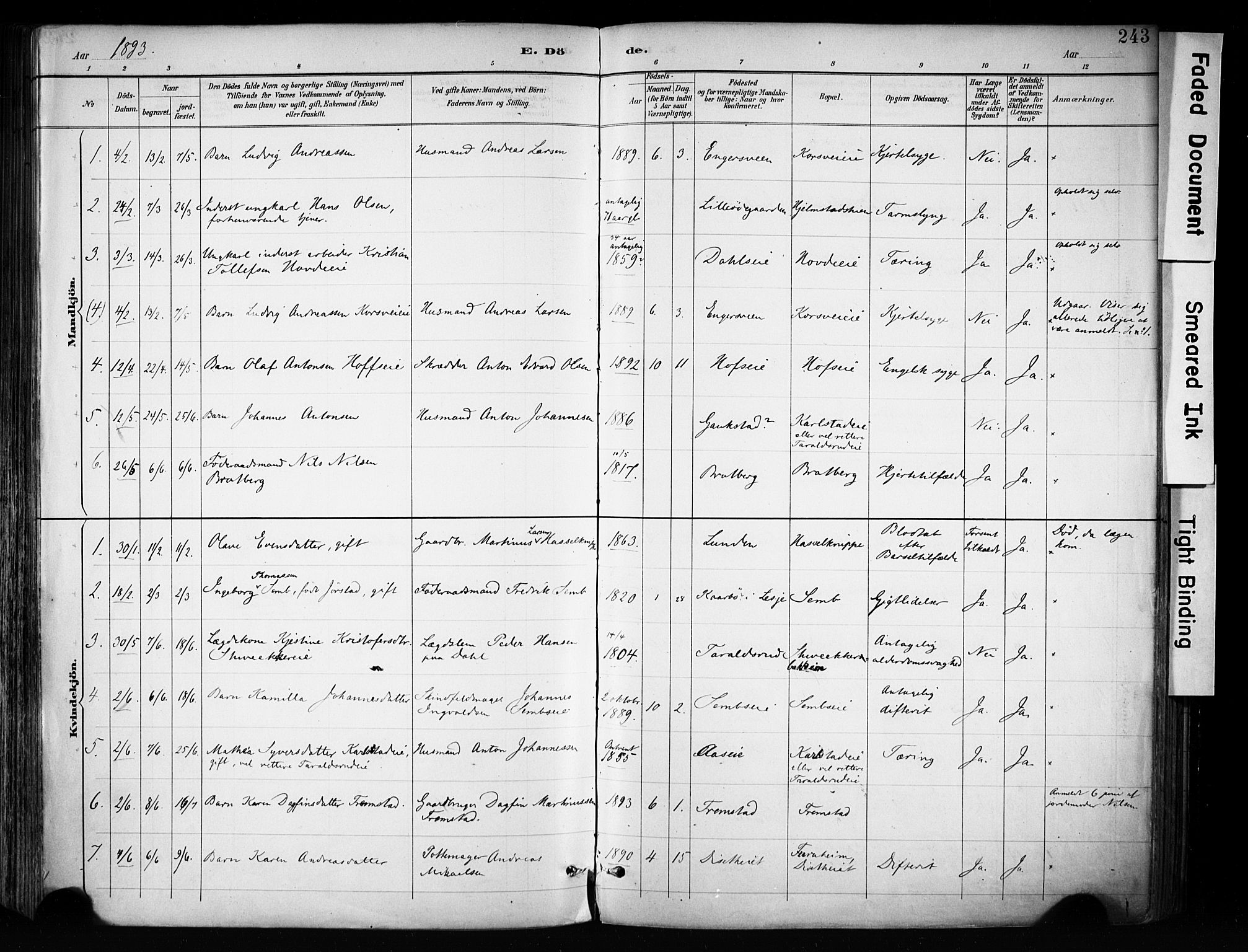 Biri prestekontor, SAH/PREST-096/H/Ha/Haa/L0009: Parish register (official) no. 9, 1887-1900, p. 243