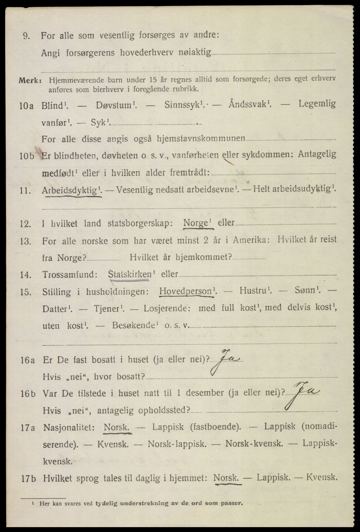 SAT, 1920 census for Bø, 1920, p. 8519