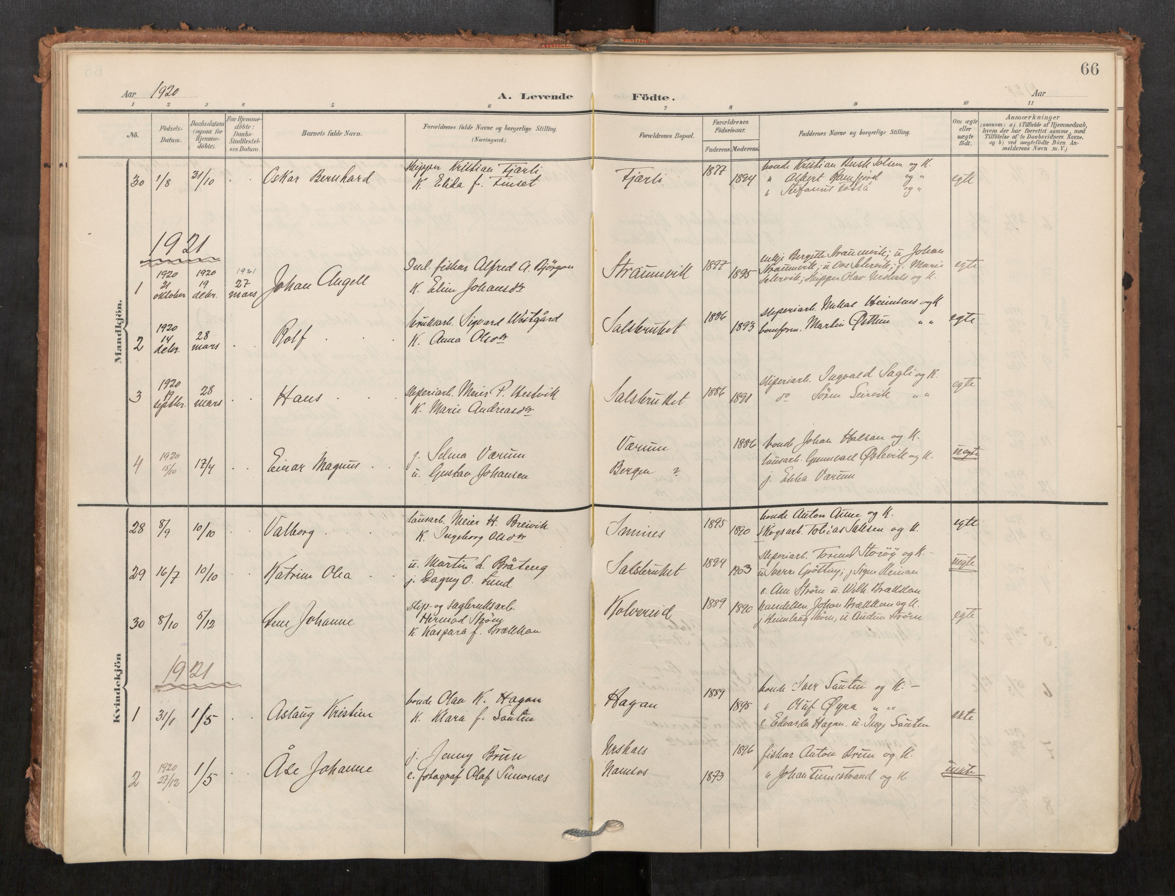 Kolvereid sokneprestkontor, AV/SAT-A-1171/H/Ha/Haa/L0001: Parish register (official) no. 1, 1903-1922, p. 66