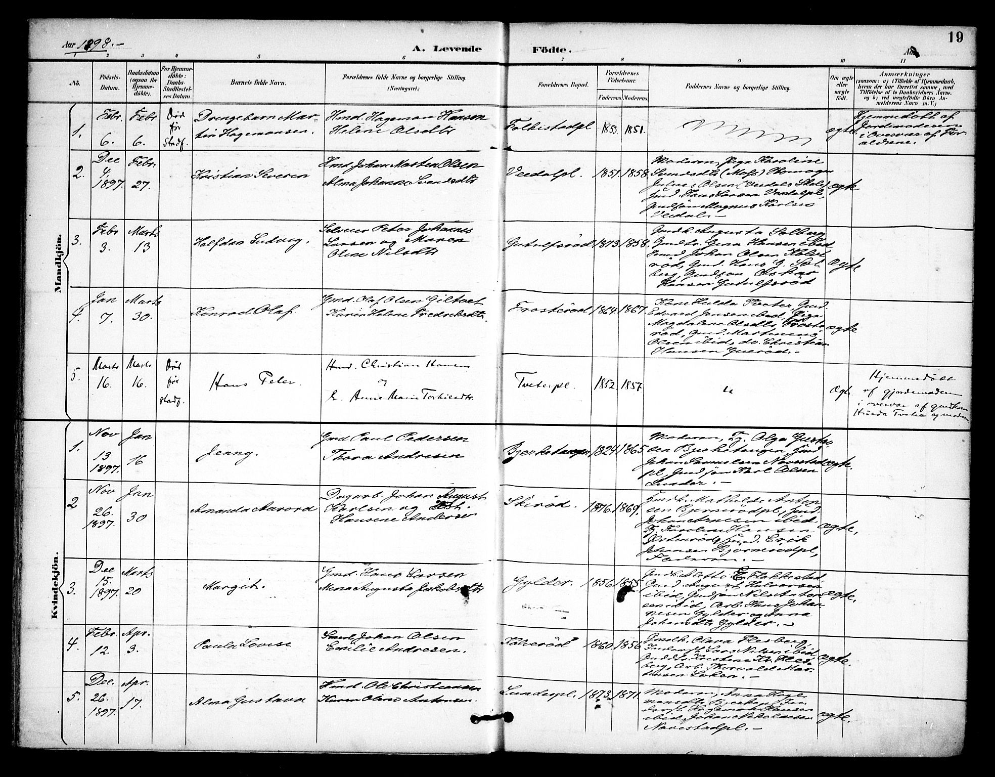 Våler prestekontor Kirkebøker, AV/SAO-A-11083/F/Fa/L0011: Parish register (official) no. I 11, 1893-1909, p. 19