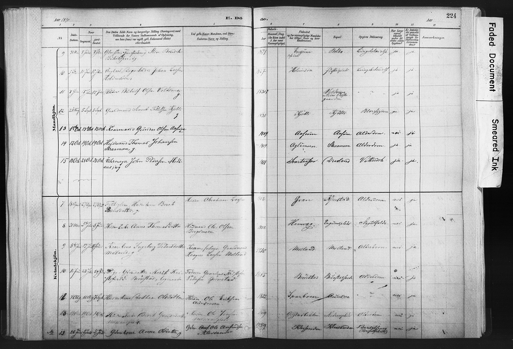Ministerialprotokoller, klokkerbøker og fødselsregistre - Nord-Trøndelag, SAT/A-1458/749/L0474: Parish register (official) no. 749A08, 1887-1903, p. 224