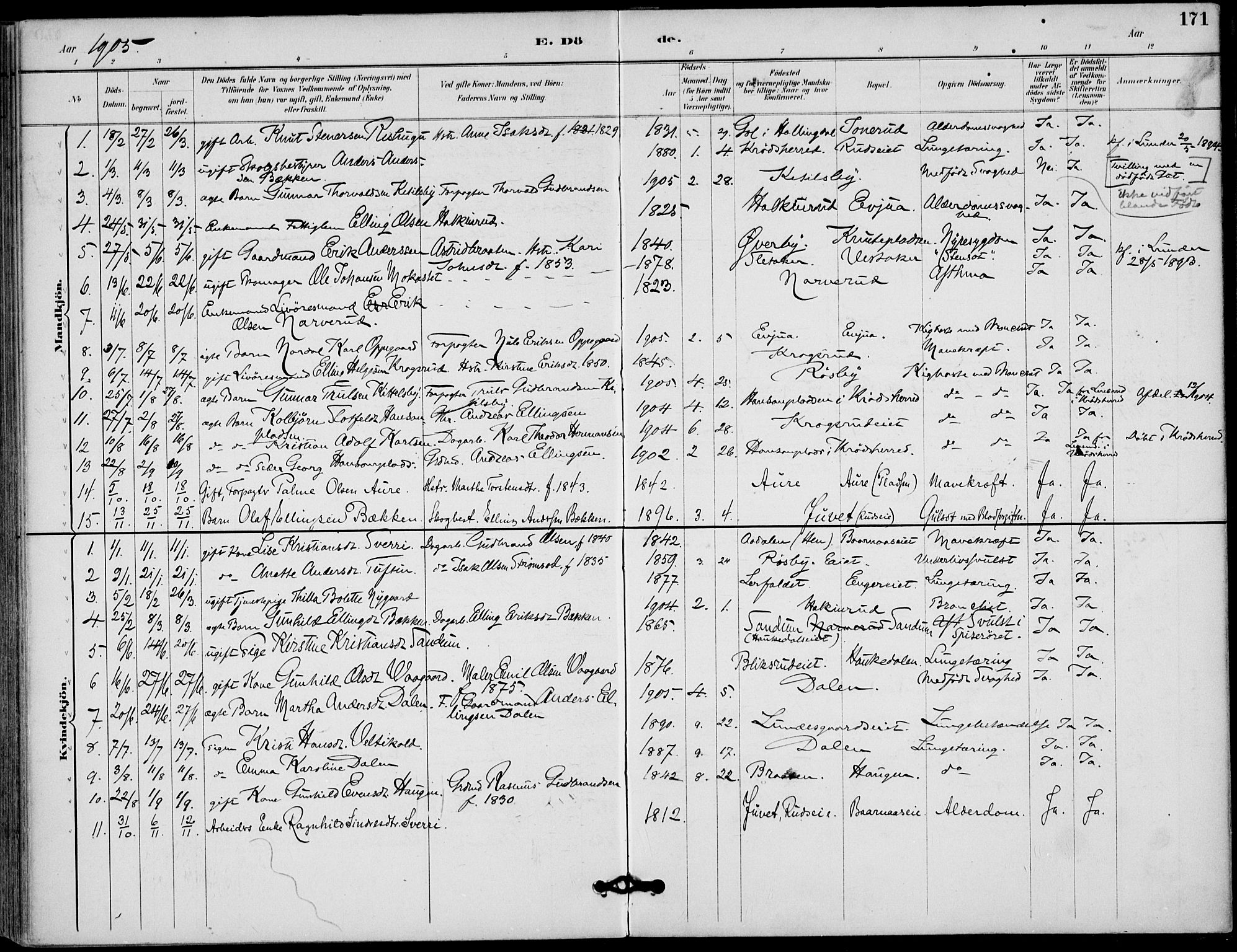 Lunder kirkebøker, AV/SAKO-A-629/F/Fa/L0001: Parish register (official) no. I 1, 1885-1912, p. 171