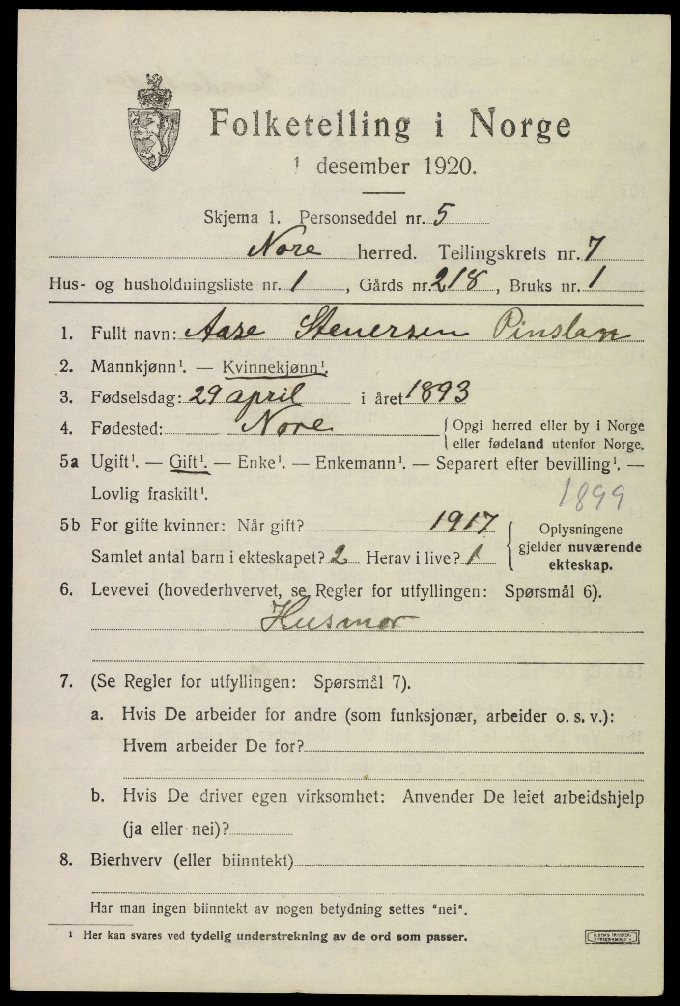 SAKO, 1920 census for Nore, 1920, p. 3056