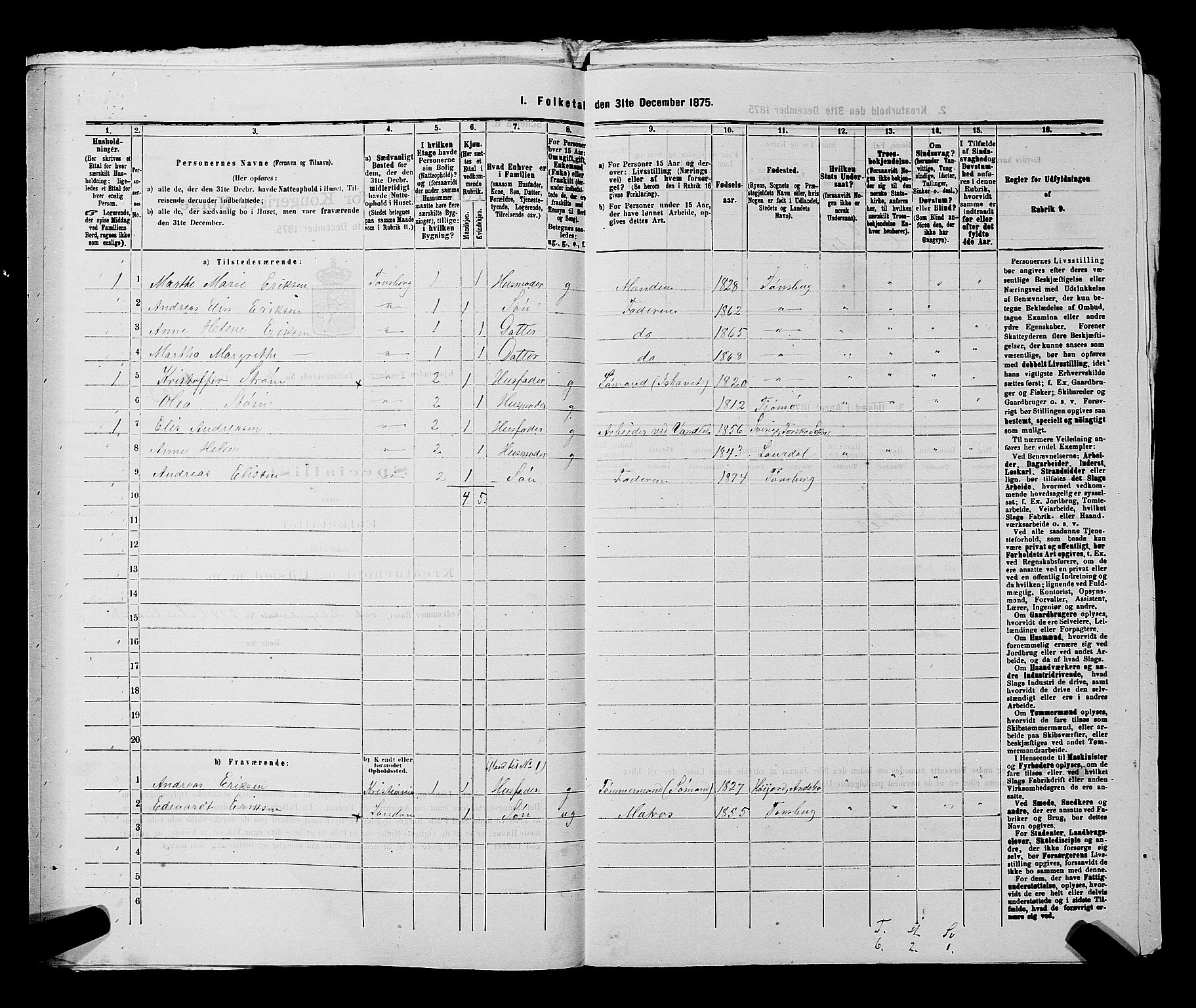 SAKO, 1875 census for 0705P Tønsberg, 1875, p. 307