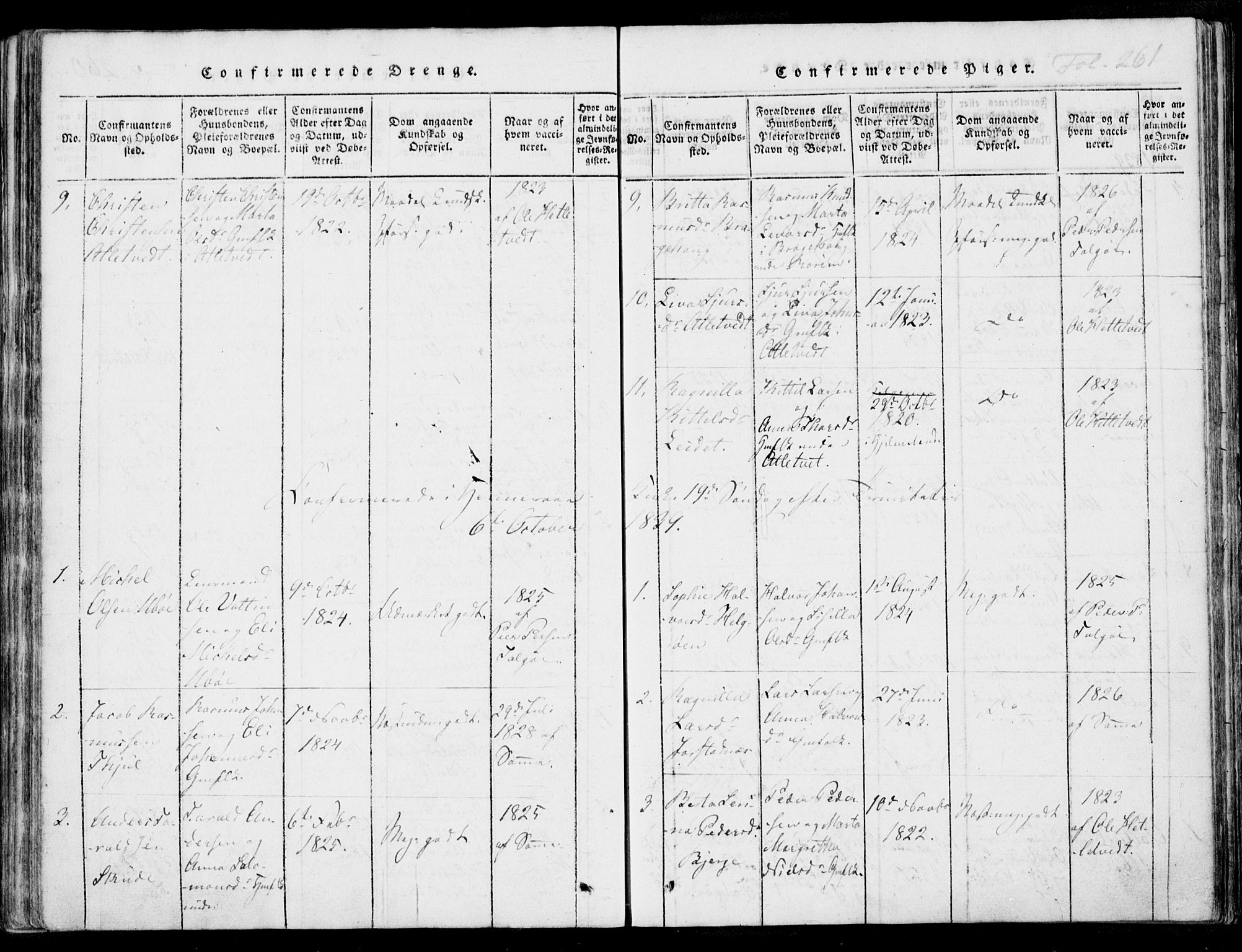 Nedstrand sokneprestkontor, AV/SAST-A-101841/01/IV: Parish register (official) no. A 7, 1816-1870, p. 261