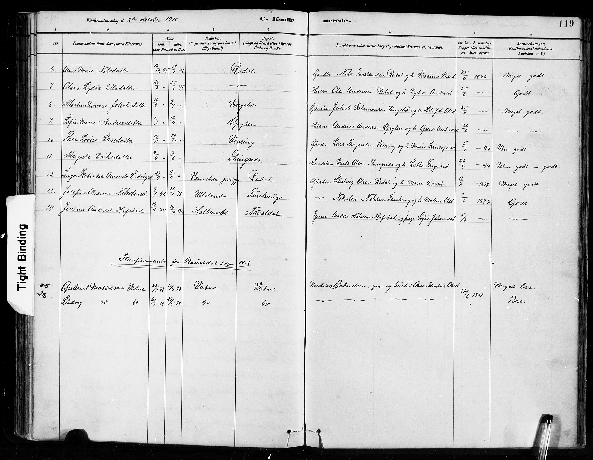 Førde sokneprestembete, SAB/A-79901/H/Hab/Habe/L0001: Parish register (copy) no. E 1, 1881-1920, p. 119
