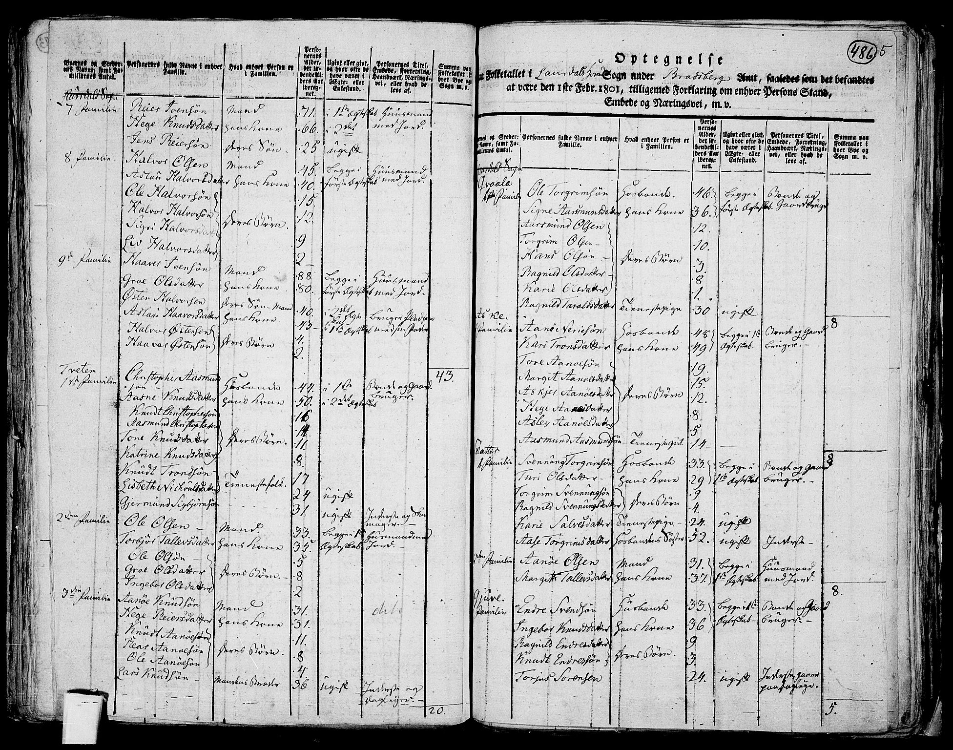 RA, 1801 census for 0833P Lårdal, 1801, p. 485b-486a