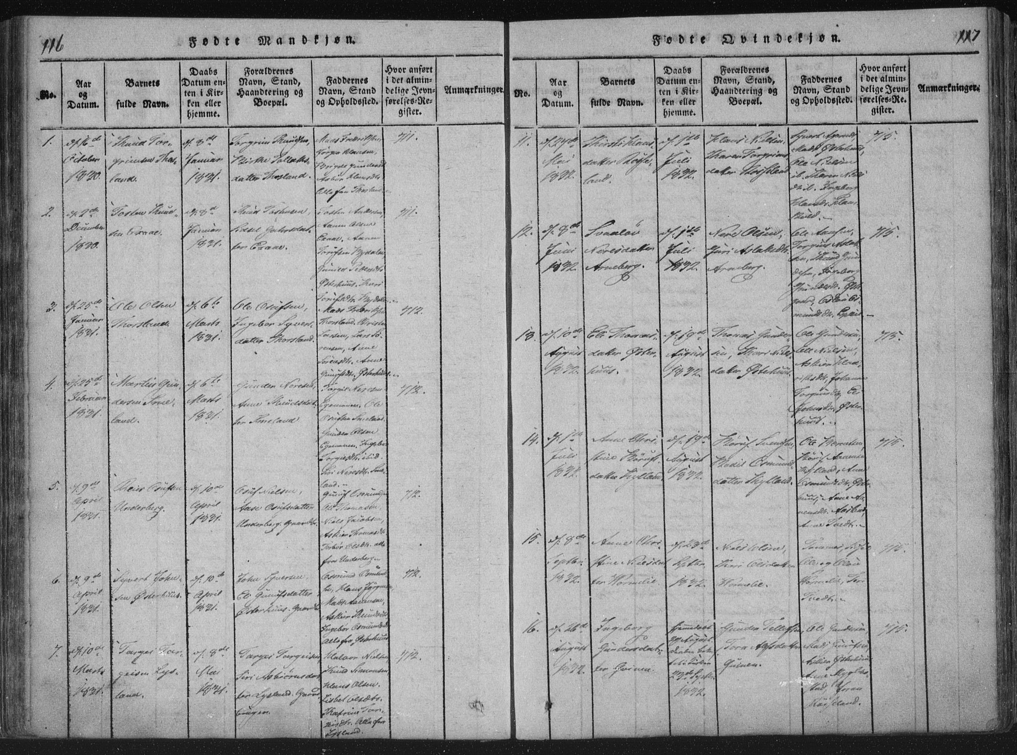 Åseral sokneprestkontor, AV/SAK-1111-0051/F/Fa/L0001: Parish register (official) no. A 1, 1815-1853, p. 116-117