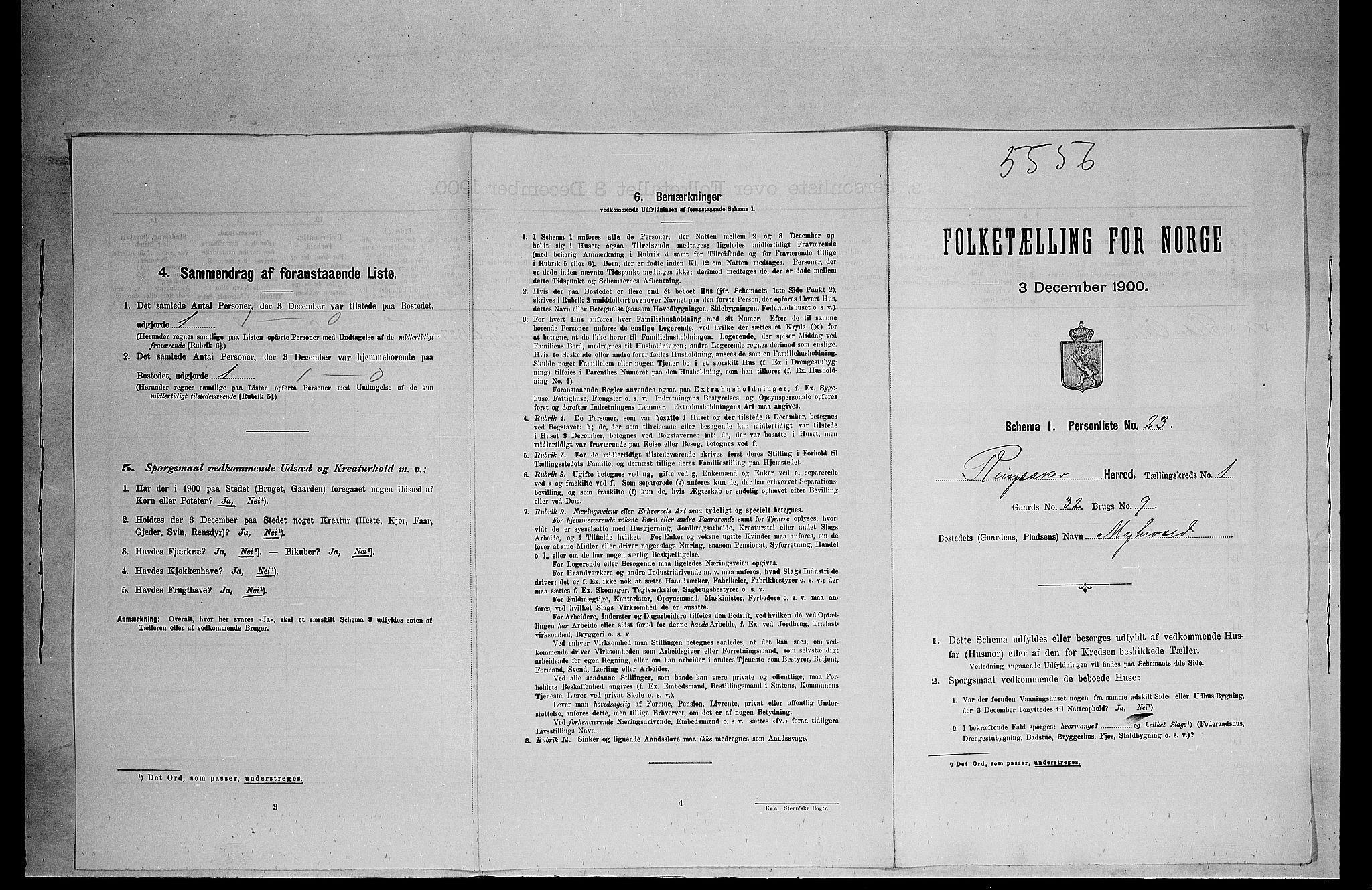 SAH, 1900 census for Ringsaker, 1900, p. 381