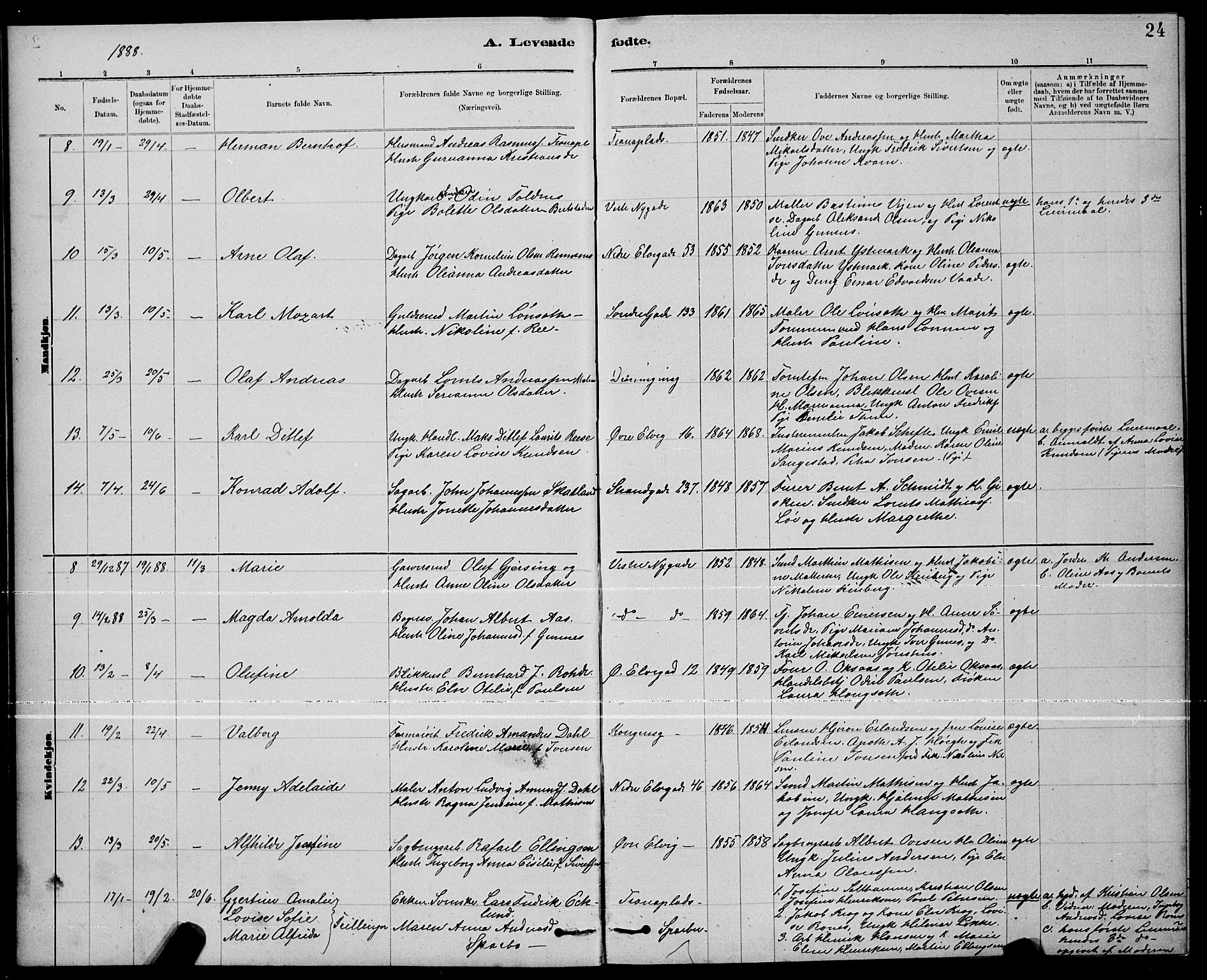 Ministerialprotokoller, klokkerbøker og fødselsregistre - Nord-Trøndelag, SAT/A-1458/739/L0374: Parish register (copy) no. 739C02, 1883-1898, p. 24