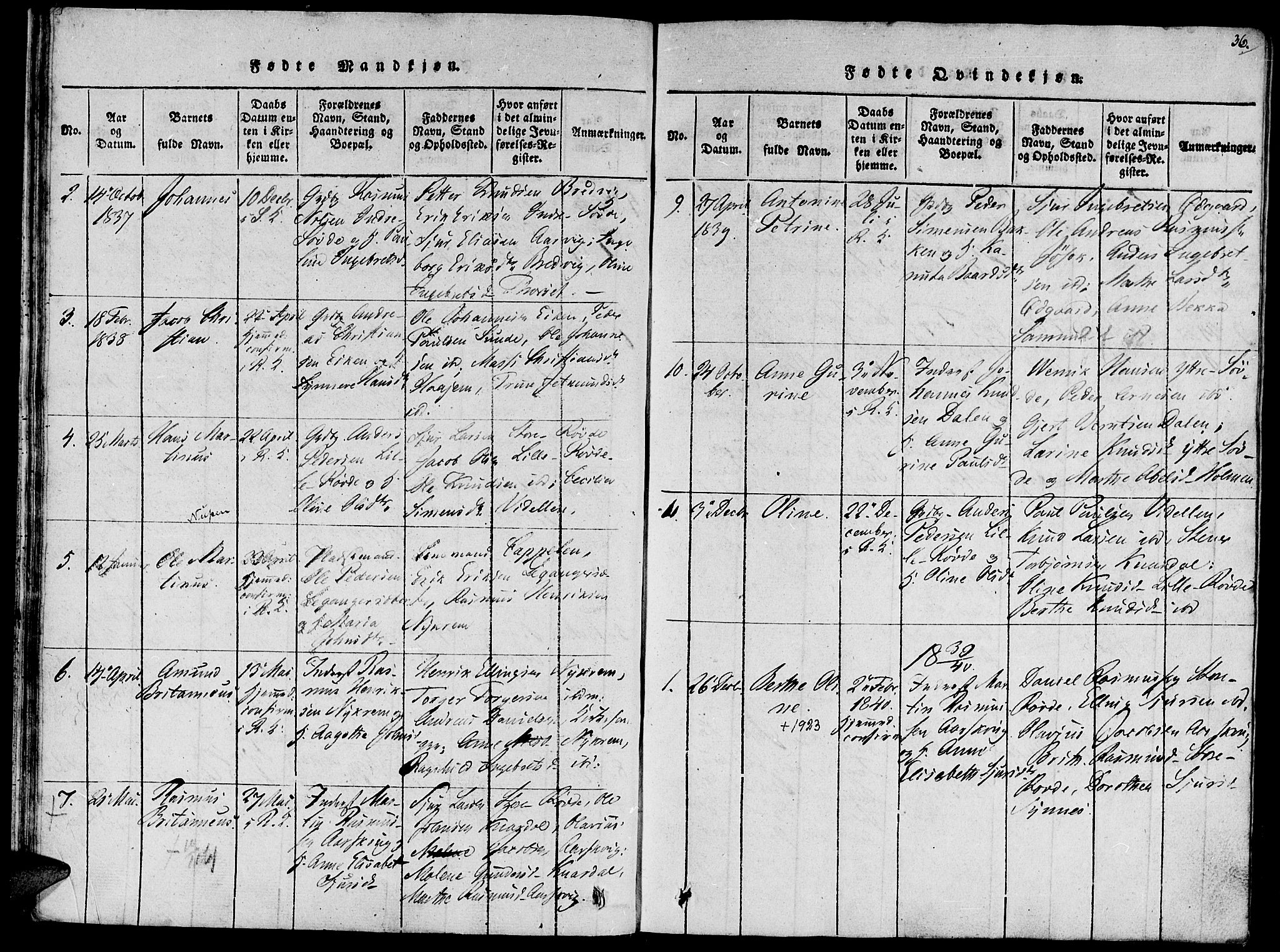 Ministerialprotokoller, klokkerbøker og fødselsregistre - Møre og Romsdal, AV/SAT-A-1454/504/L0054: Parish register (official) no. 504A01, 1816-1861, p. 36