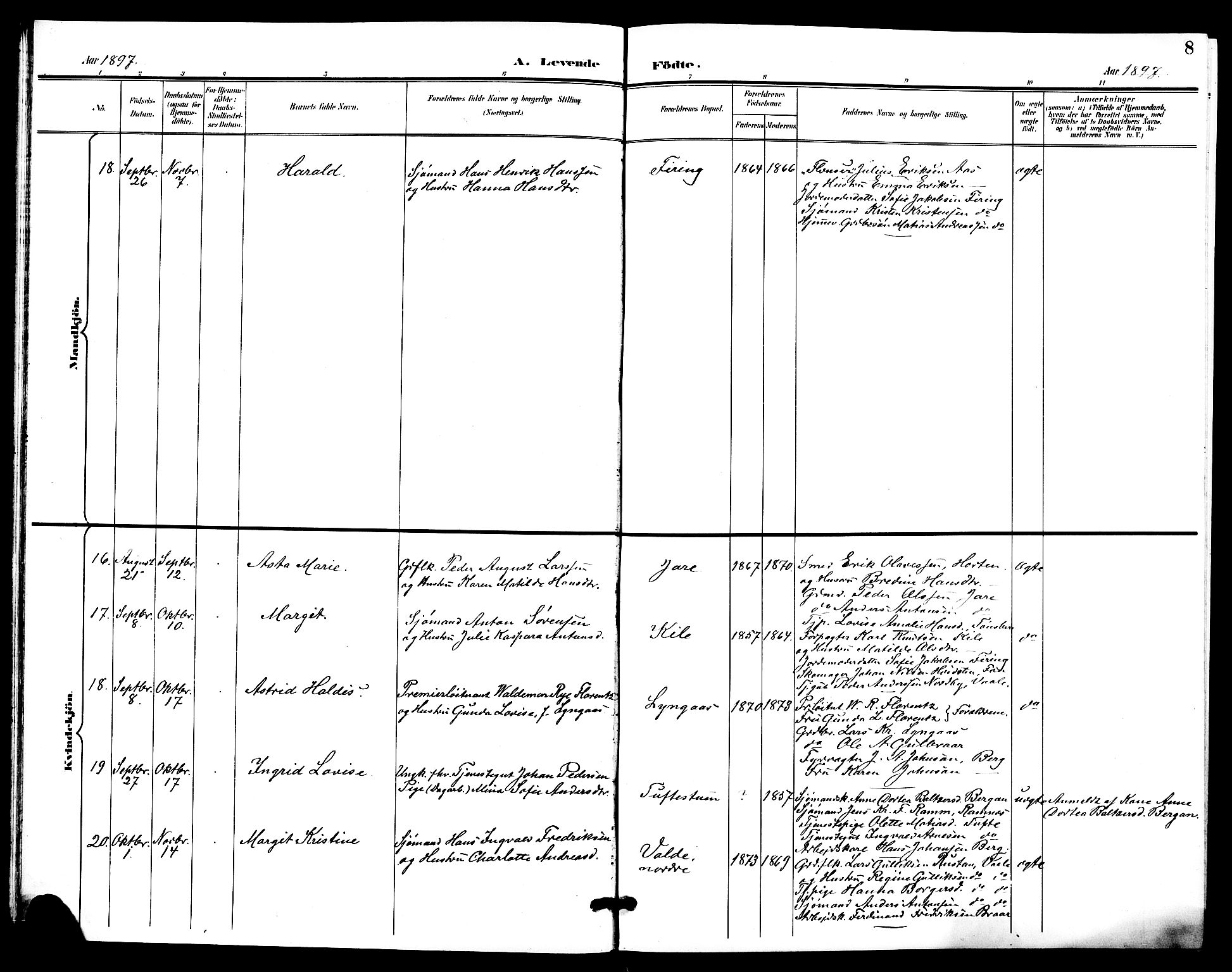 Ramnes kirkebøker, AV/SAKO-A-314/G/Ga/L0004: Parish register (copy) no. I 4, 1896-1911, p. 8