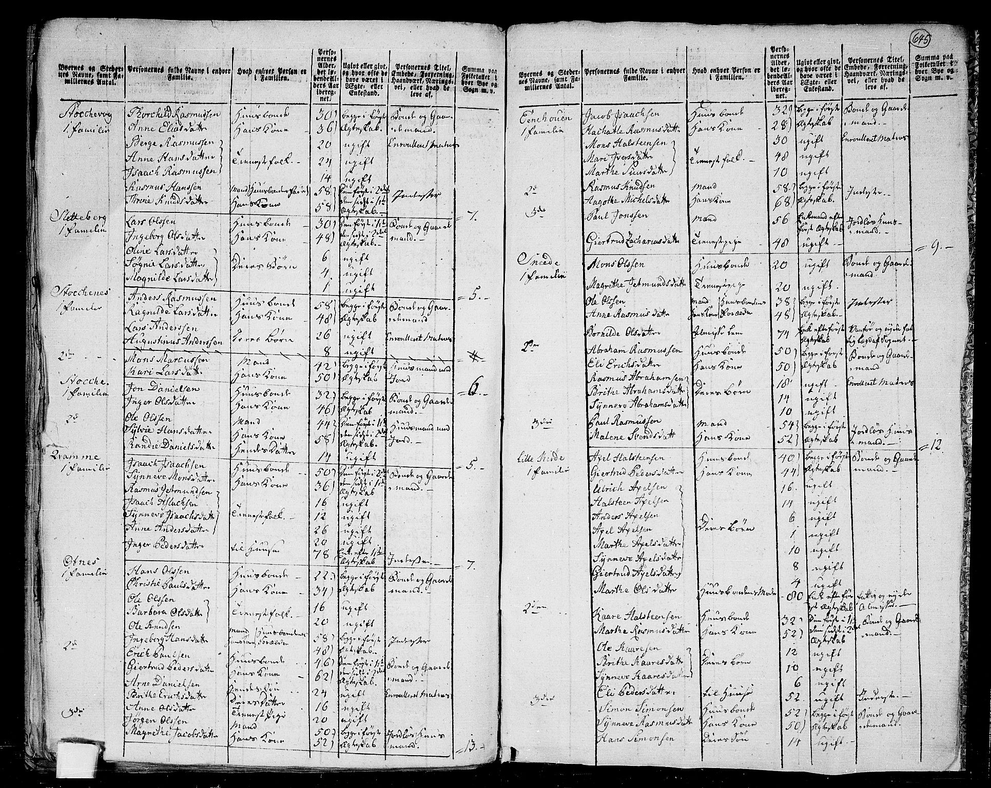 RA, 1801 census for 1441P Selje, 1801, p. 644b-645a