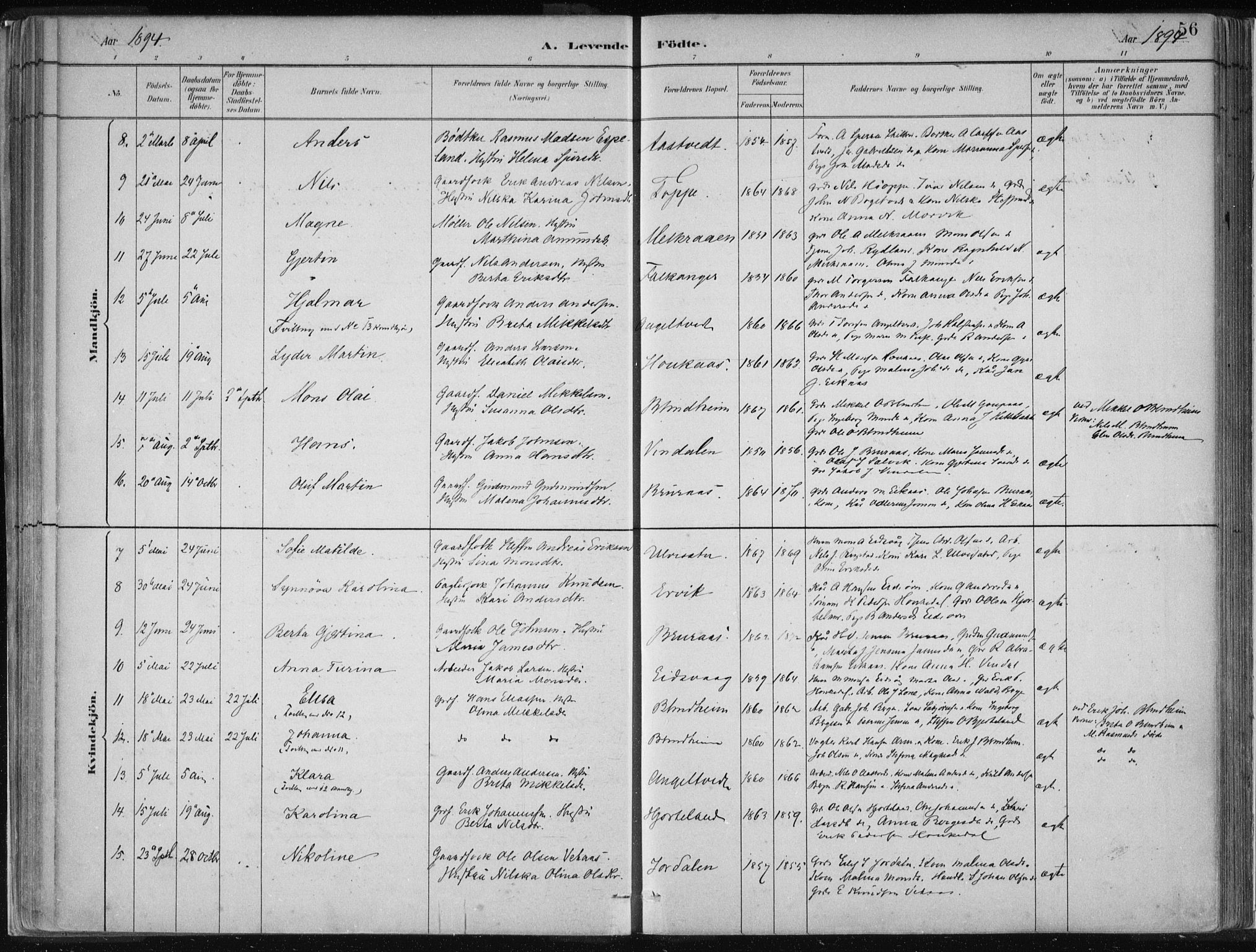 Hamre sokneprestembete, AV/SAB-A-75501/H/Ha/Haa/Haad/L0001: Parish register (official) no. D  1, 1882-1906, p. 56