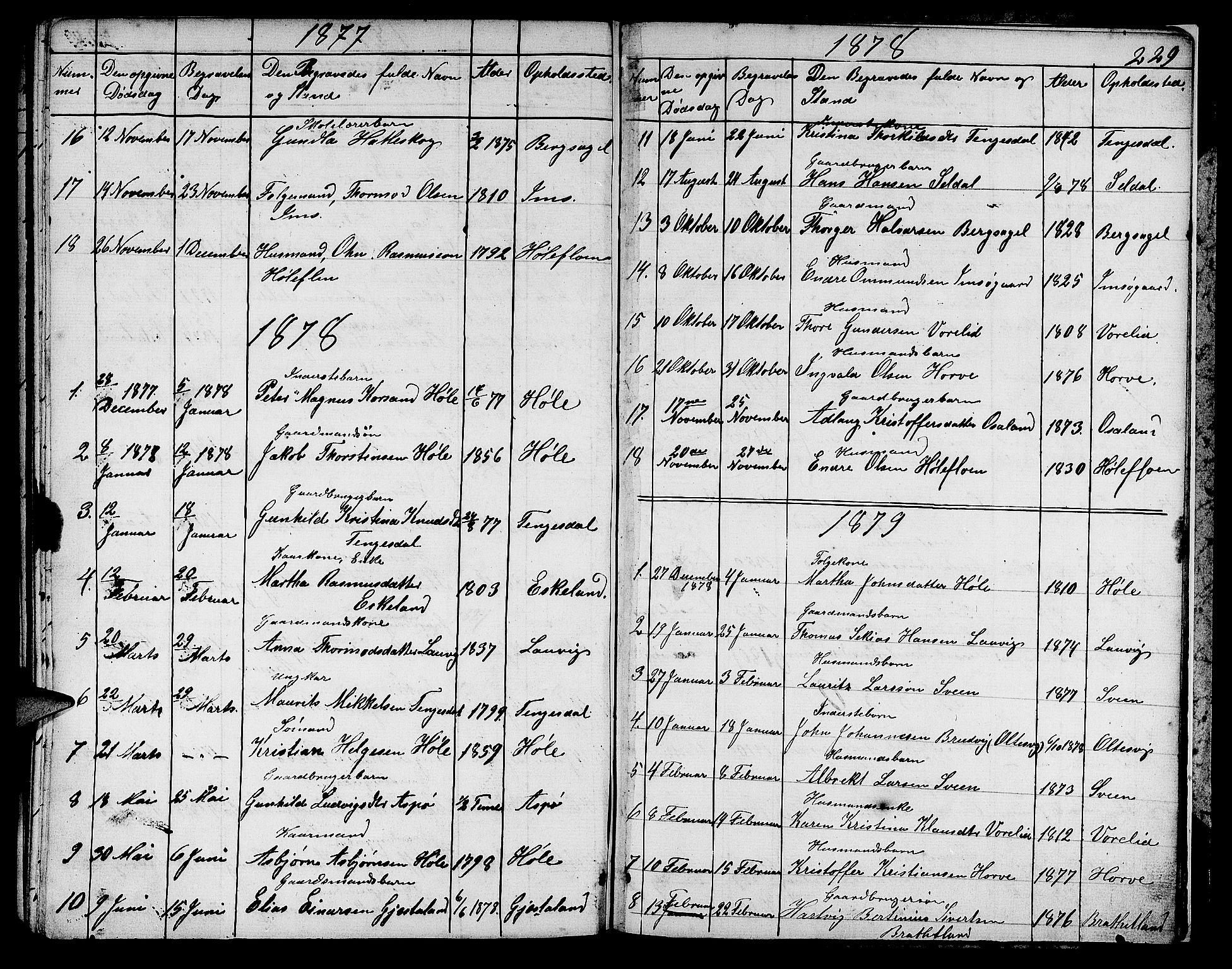 Høgsfjord sokneprestkontor, SAST/A-101624/H/Ha/Hab/L0001: Parish register (copy) no. B 1, 1855-1885, p. 229