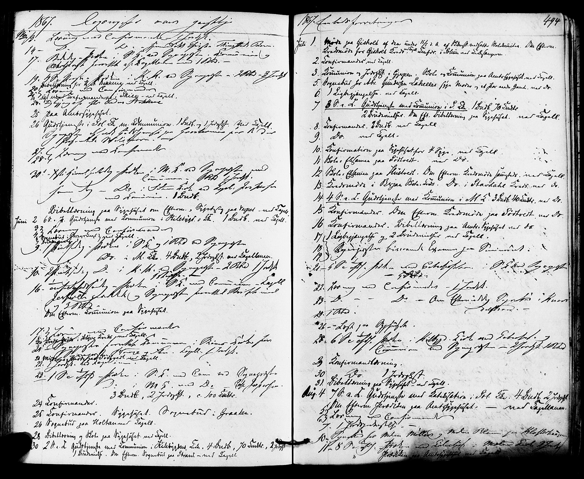 Solum kirkebøker, AV/SAKO-A-306/F/Fa/L0008: Parish register (official) no. I 8, 1865-1876, p. 494